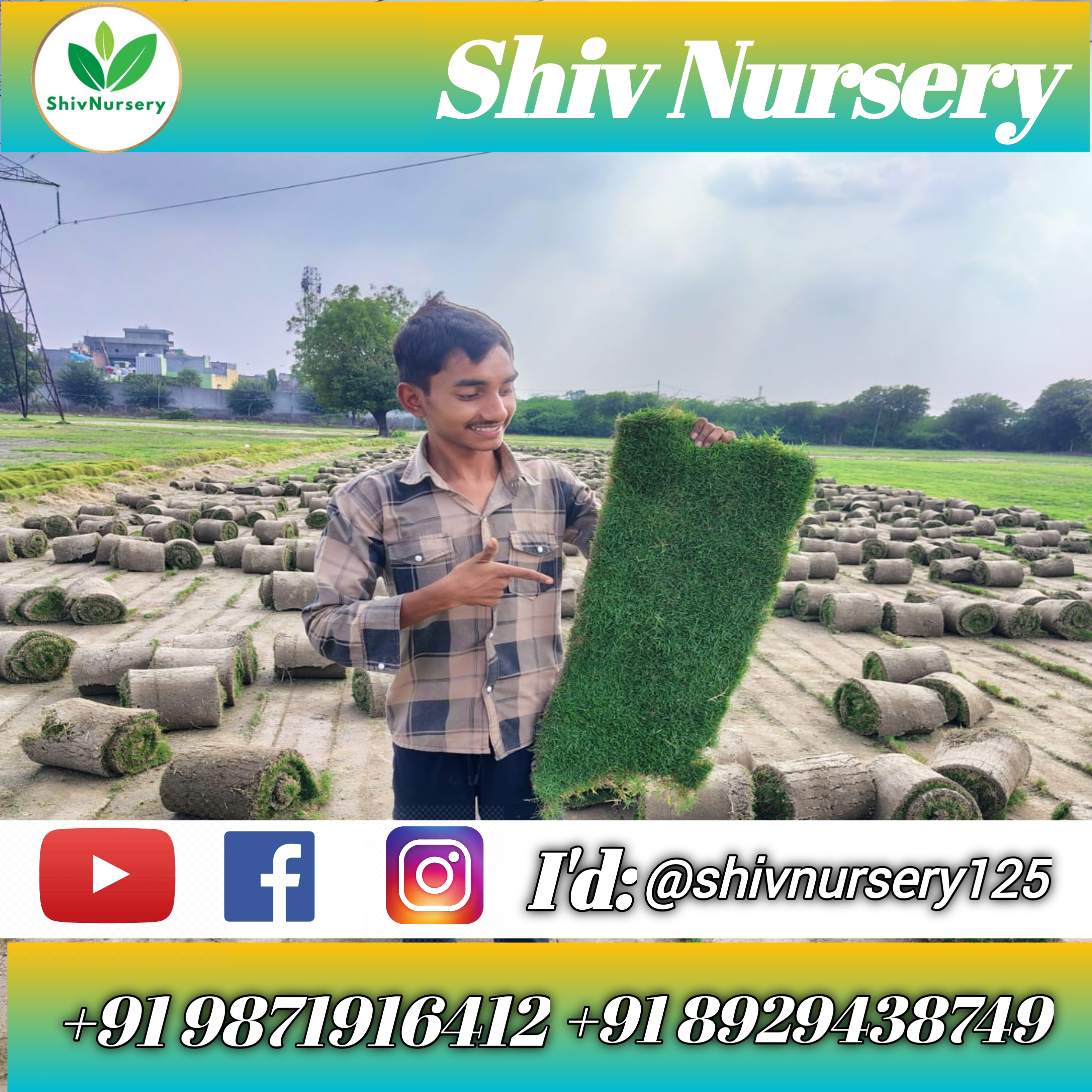Custom Lawn Rolls Natural Lawn Grass for Home & Garden