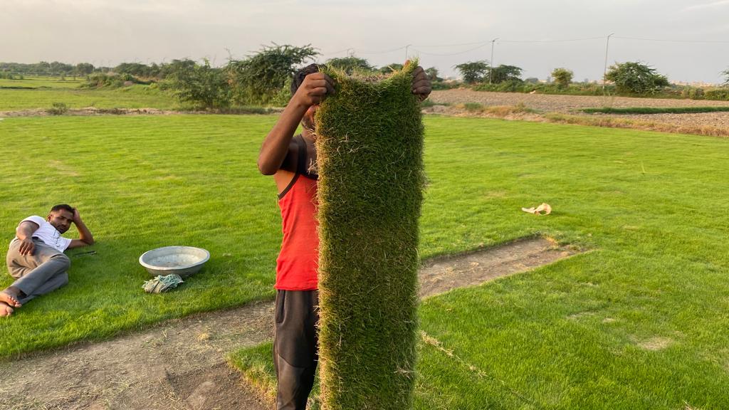Farmhouse Lawn Grass Natural Lawn Grass for Home & Garden