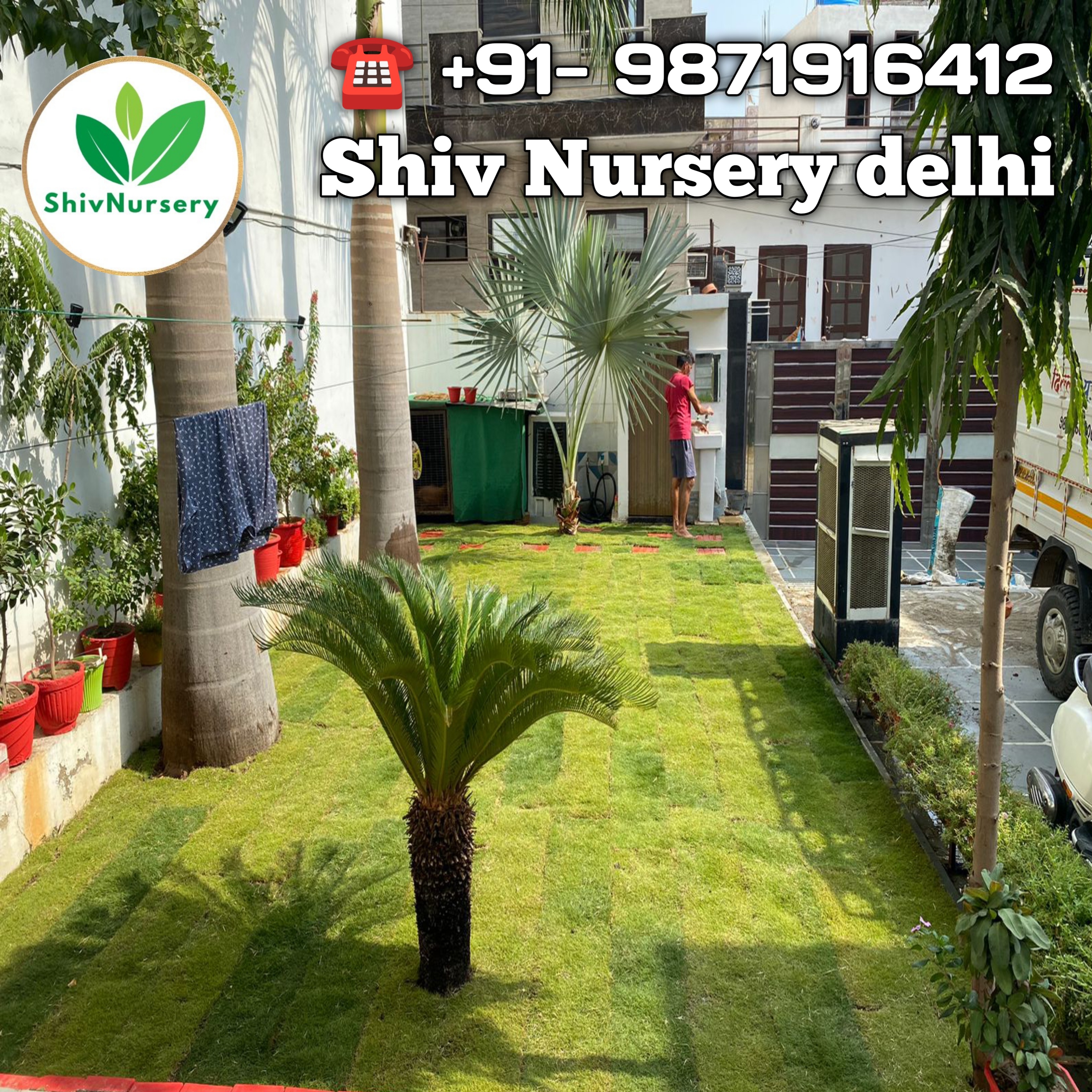 Natural Lawn Grass in Rajouri Garden Delhi