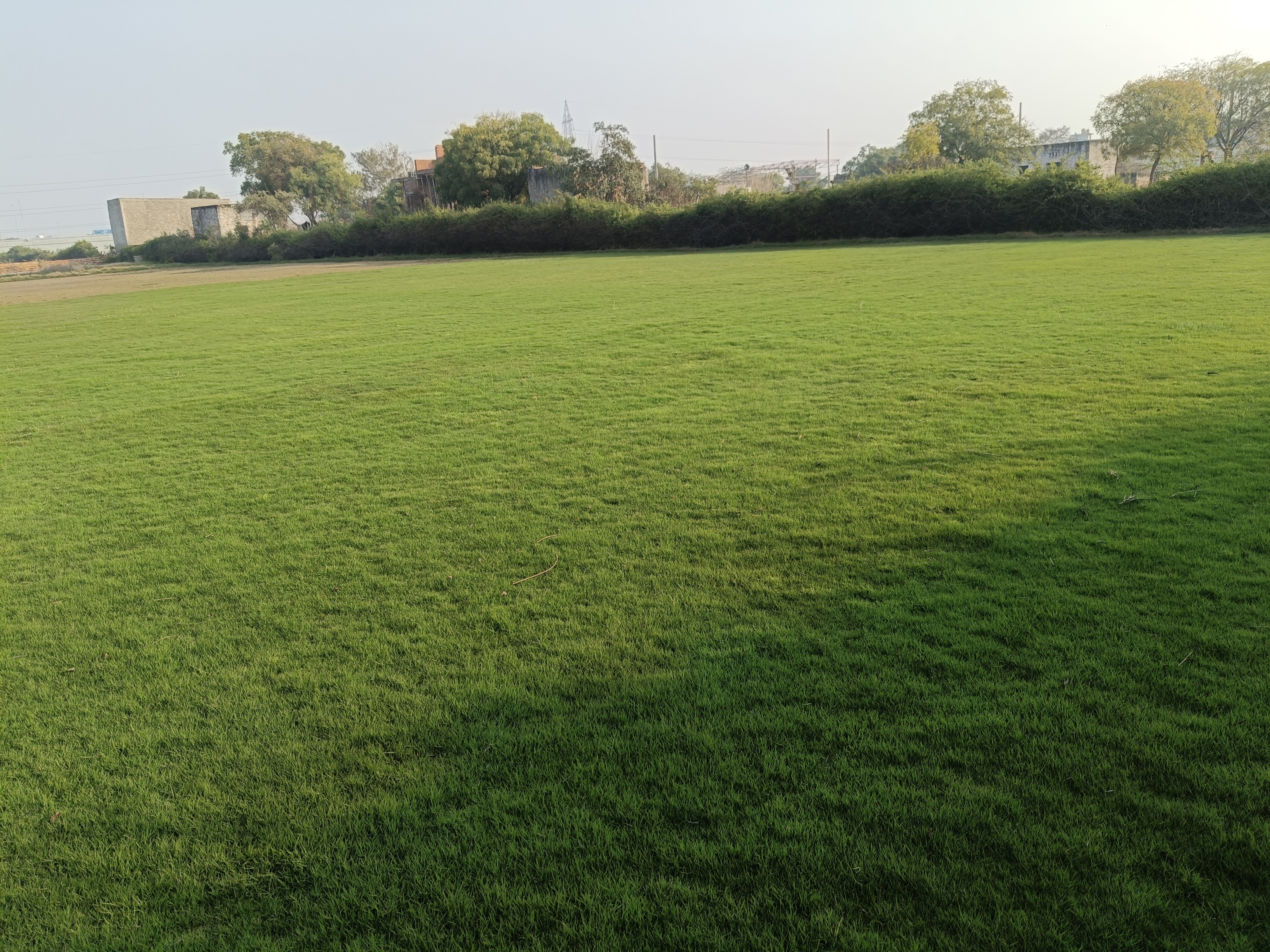 Natural Lawn Grass in Clement Town Cantonment