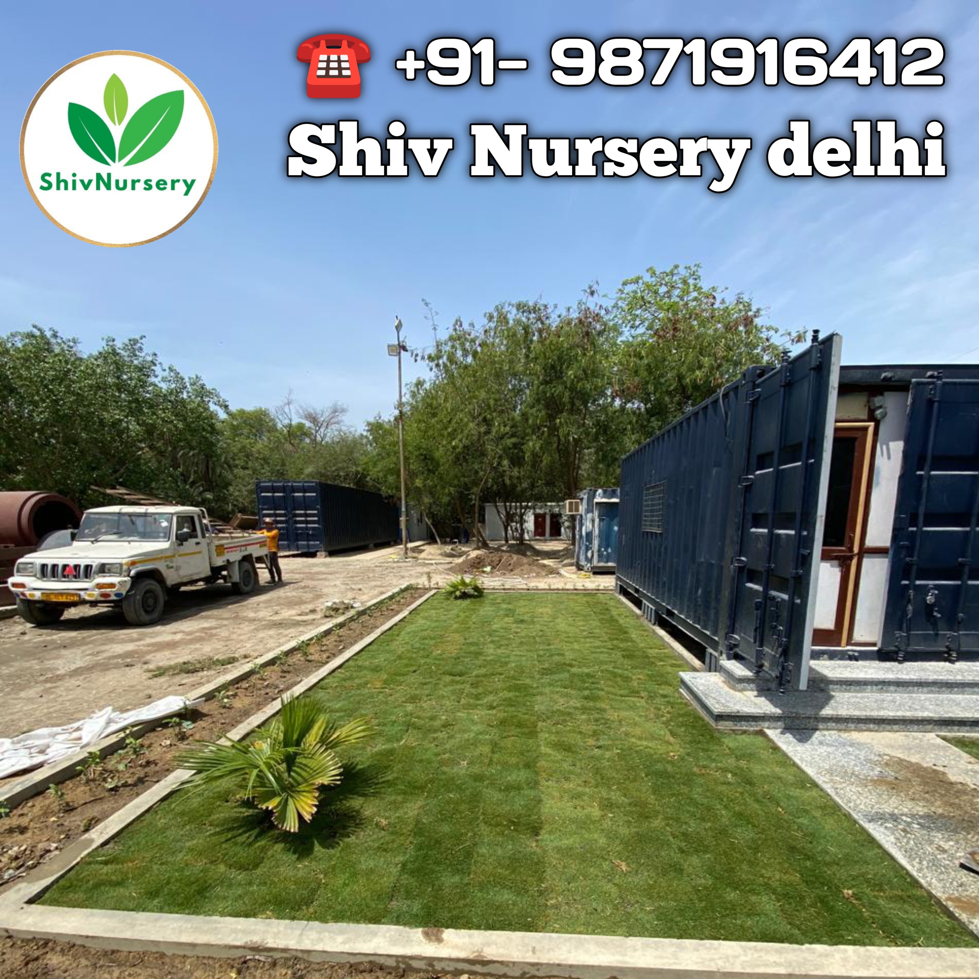 Natural Lawn Grass in Paschim Vihar Delhi
