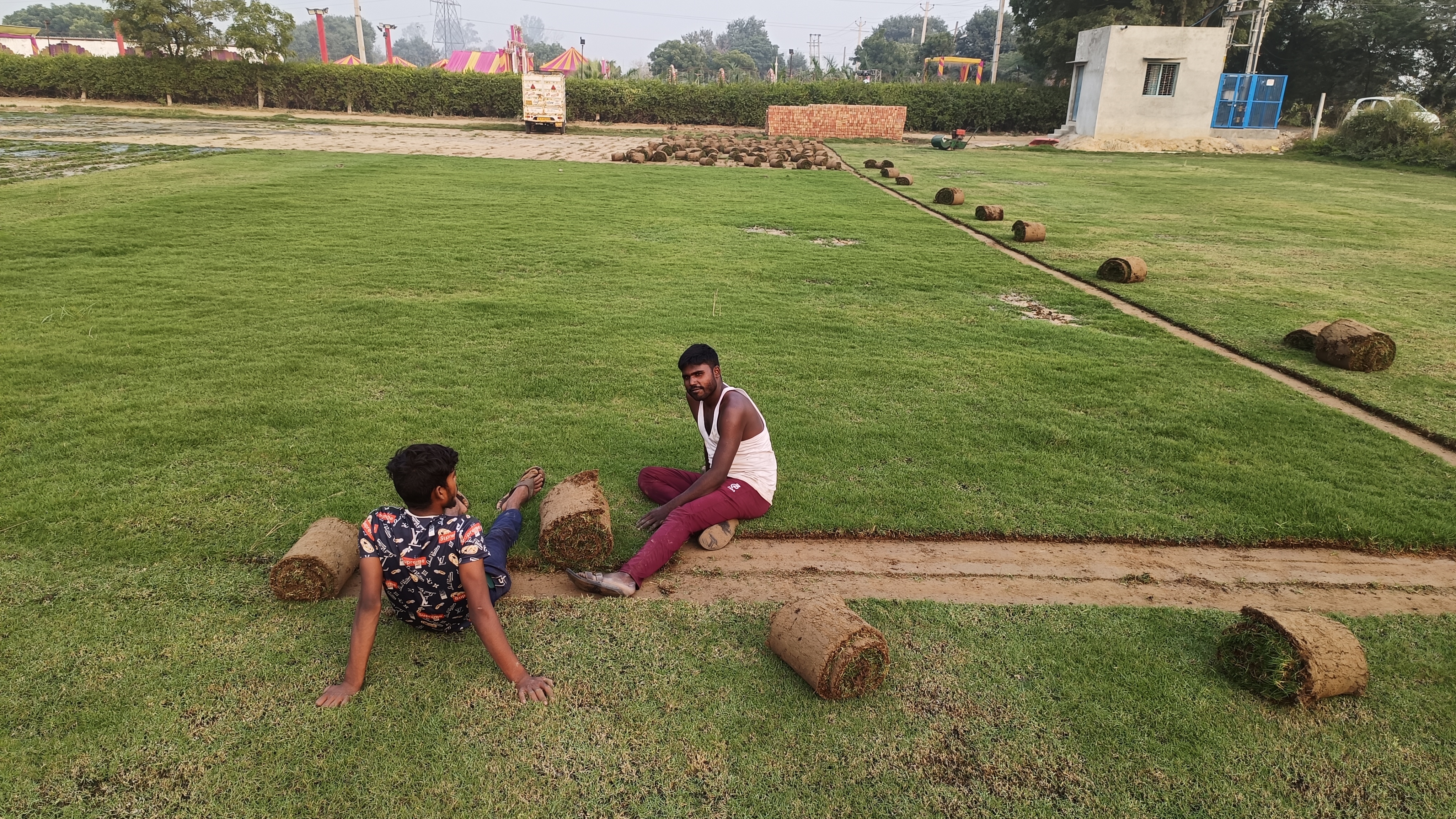 Natural grass nursery in Delhi NCR