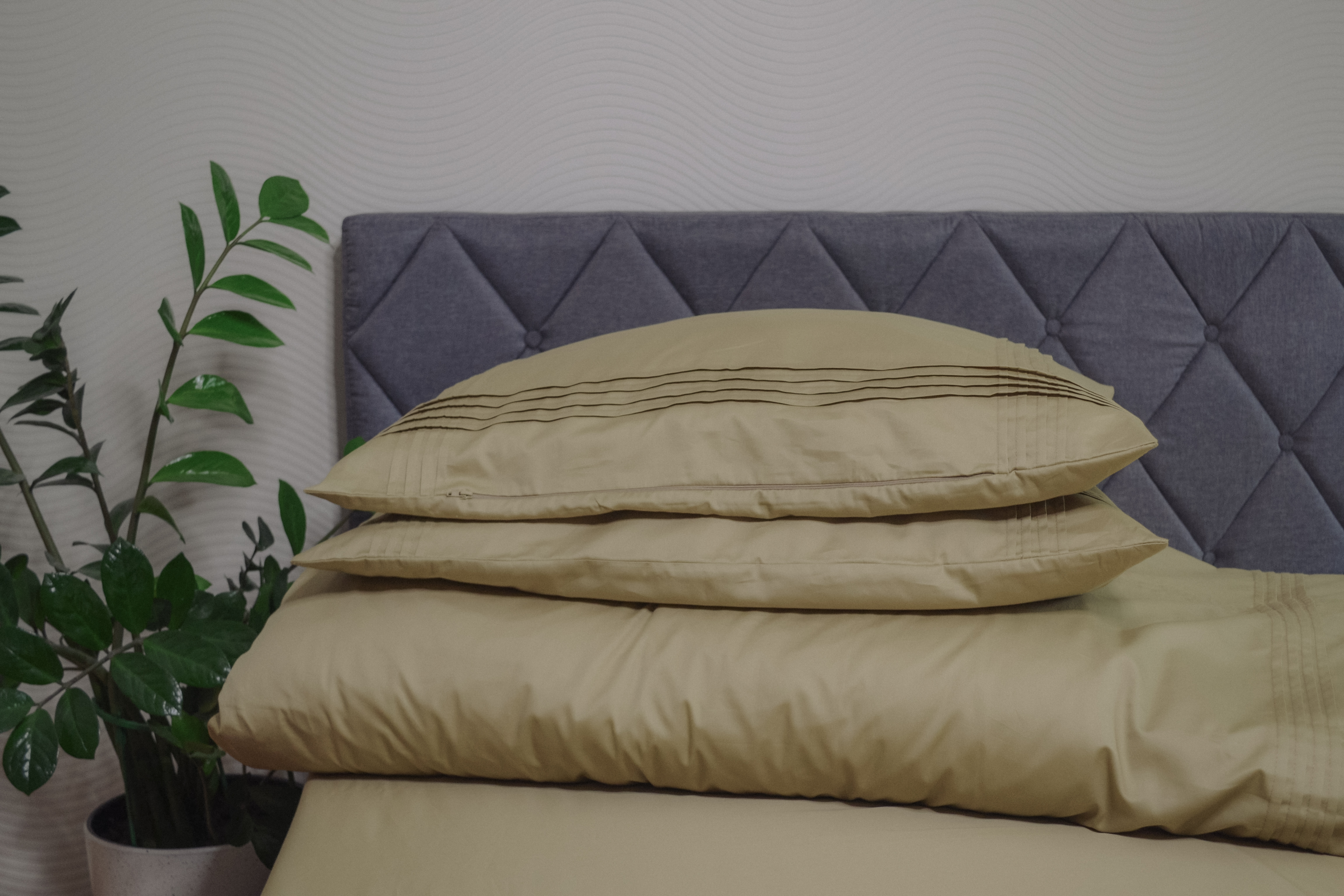 Komplektas 4 dalių (2 pagalvės, 1 antklodė, 1 paklodė) (Dvigulis) - Spalva: Alyvuogė