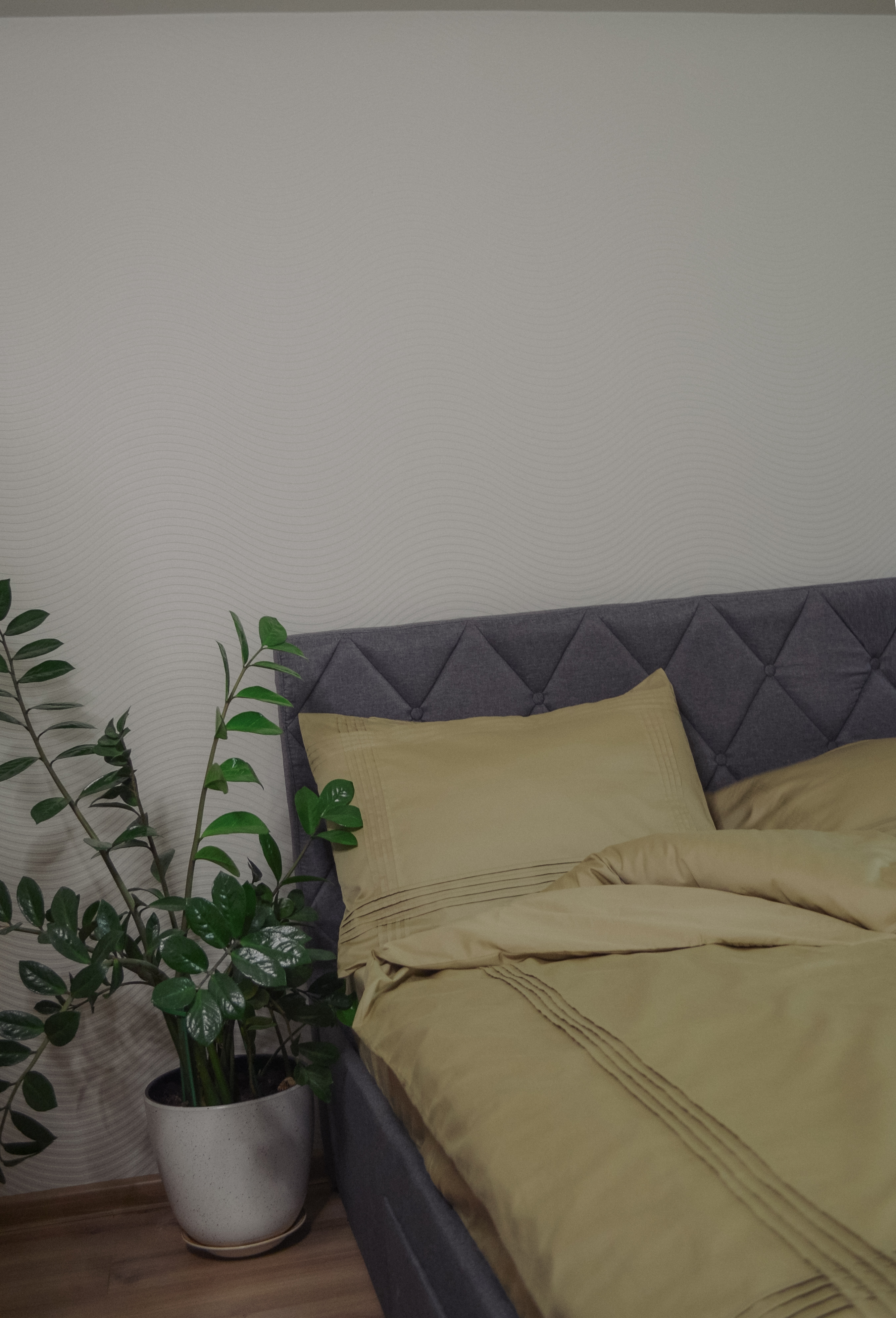 Komplektas 4 dalių (2 pagalvės, 1 antklodė, 1 paklodė) (Dvigulis) - Spalva: Alyvuogė