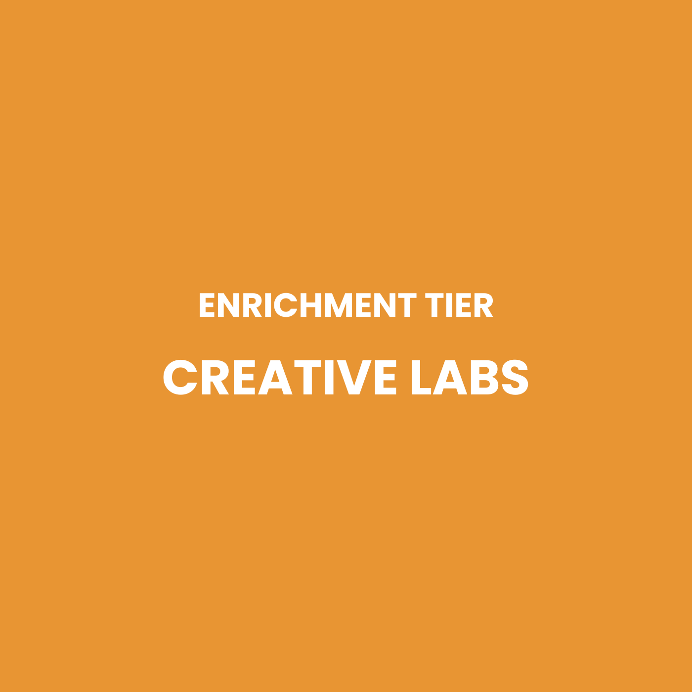 Enrichment Tier: Creative Labs