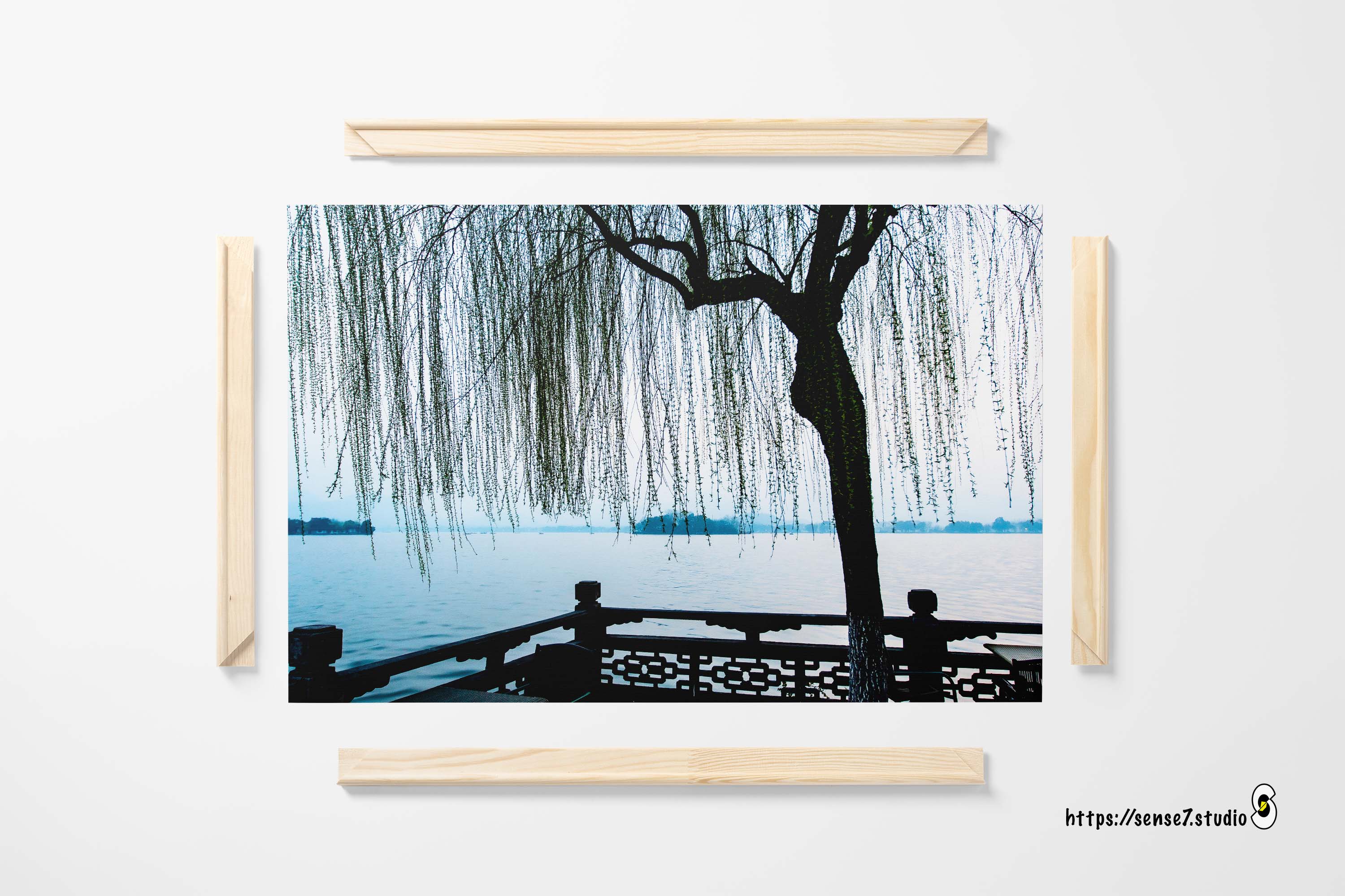 Willow Dream