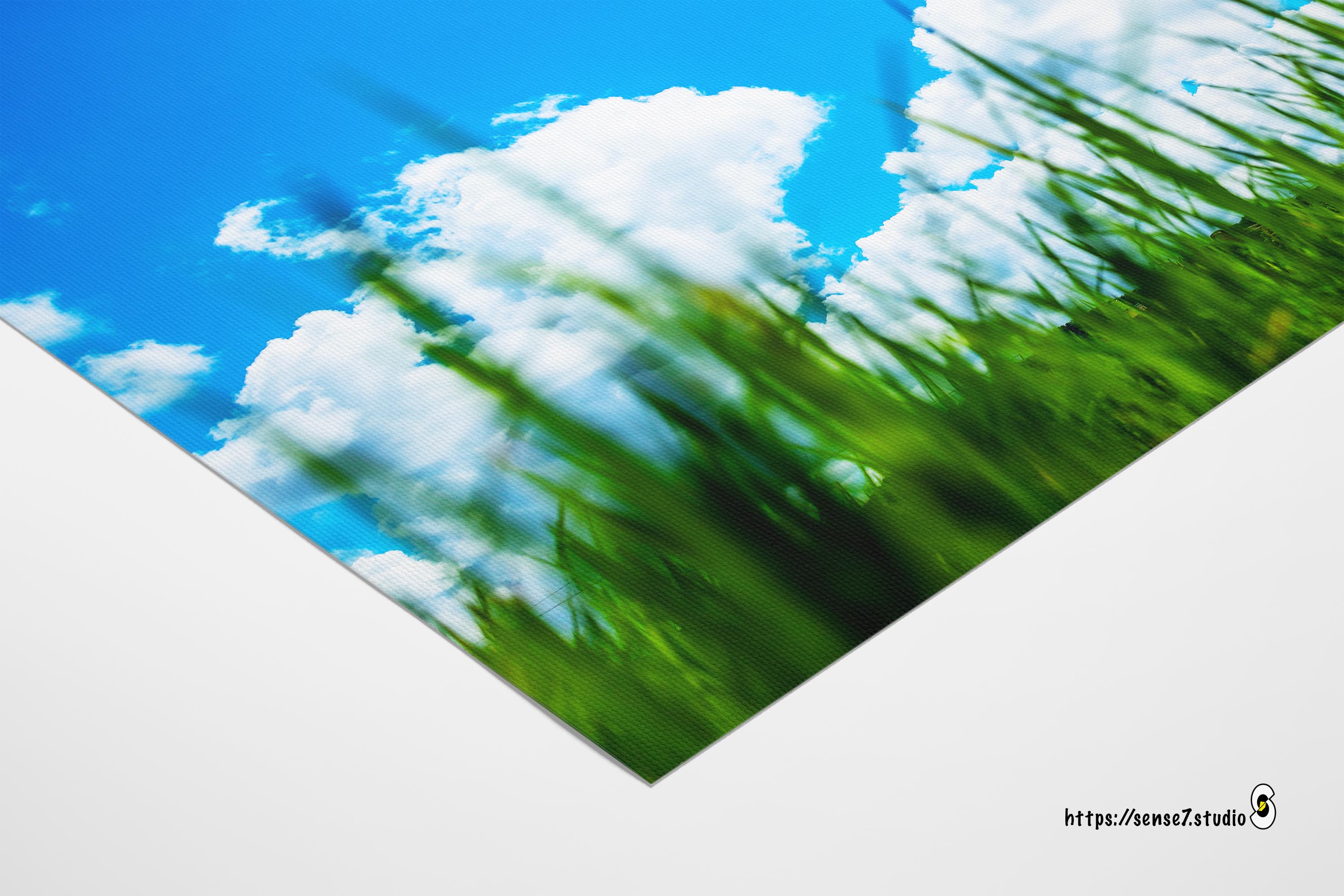 Ant View 02