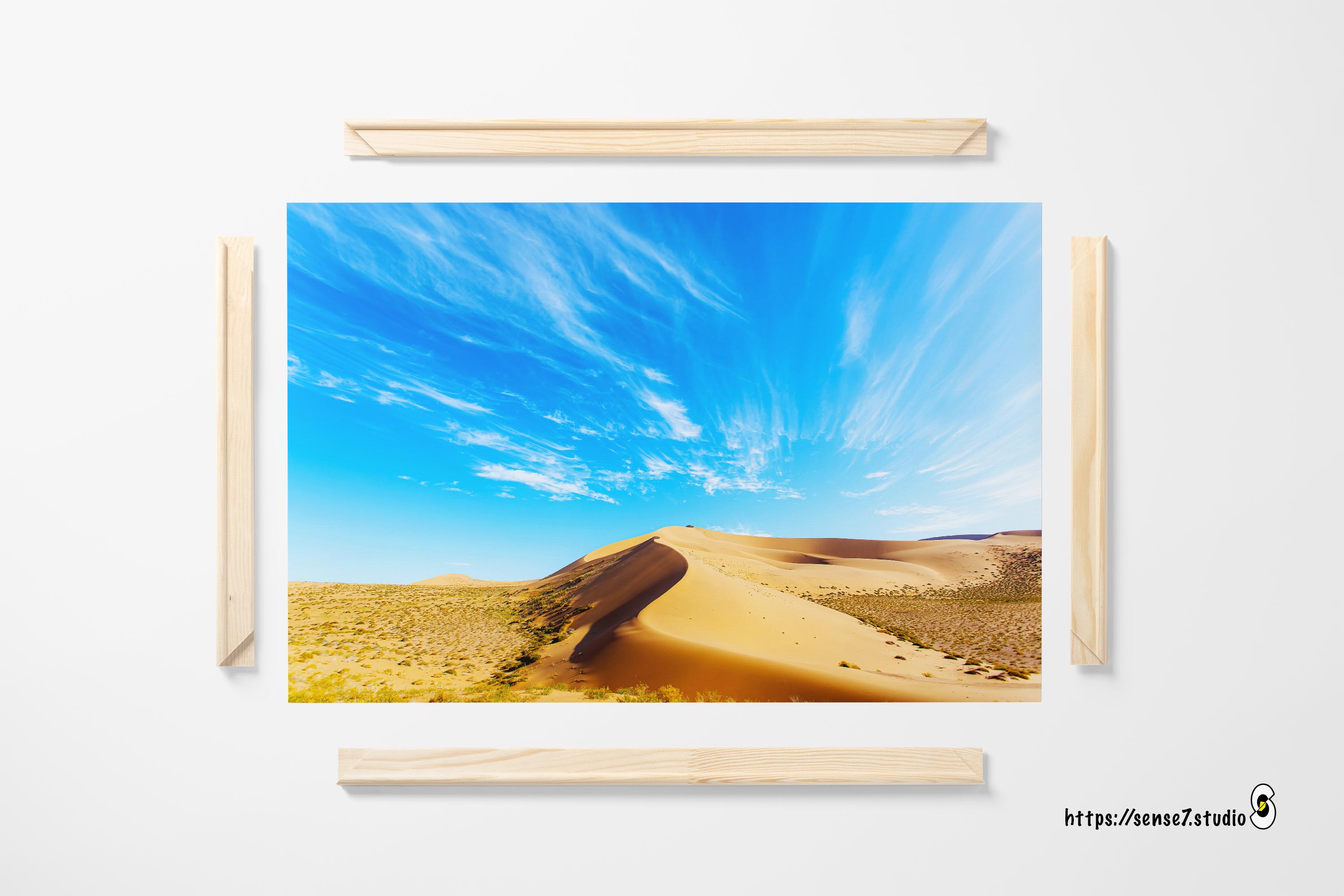 Desert 2009_1