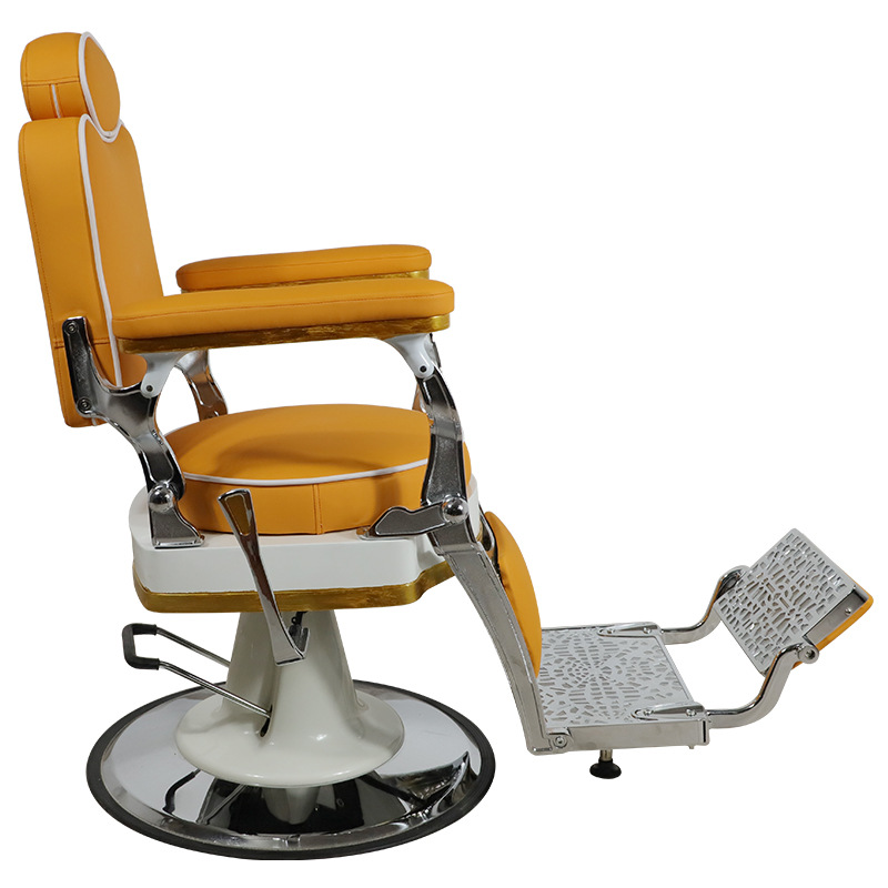 Professional Barber Chair