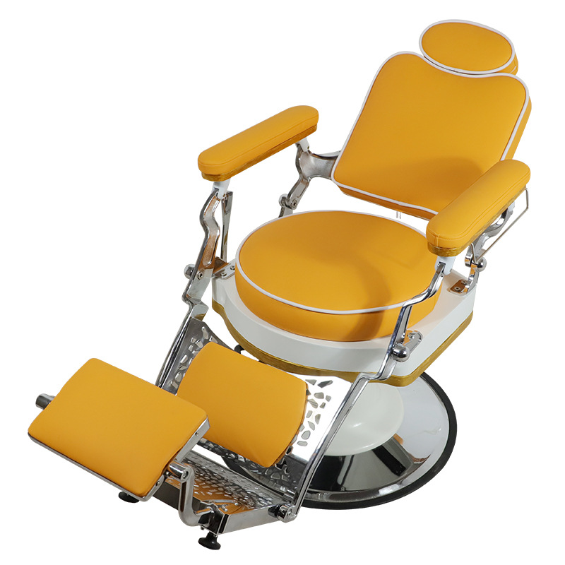 Professional Barber Chair