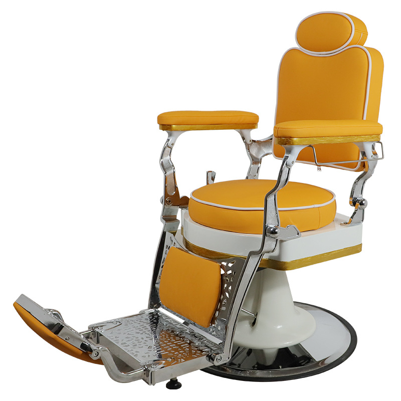Professional Barber Chair
