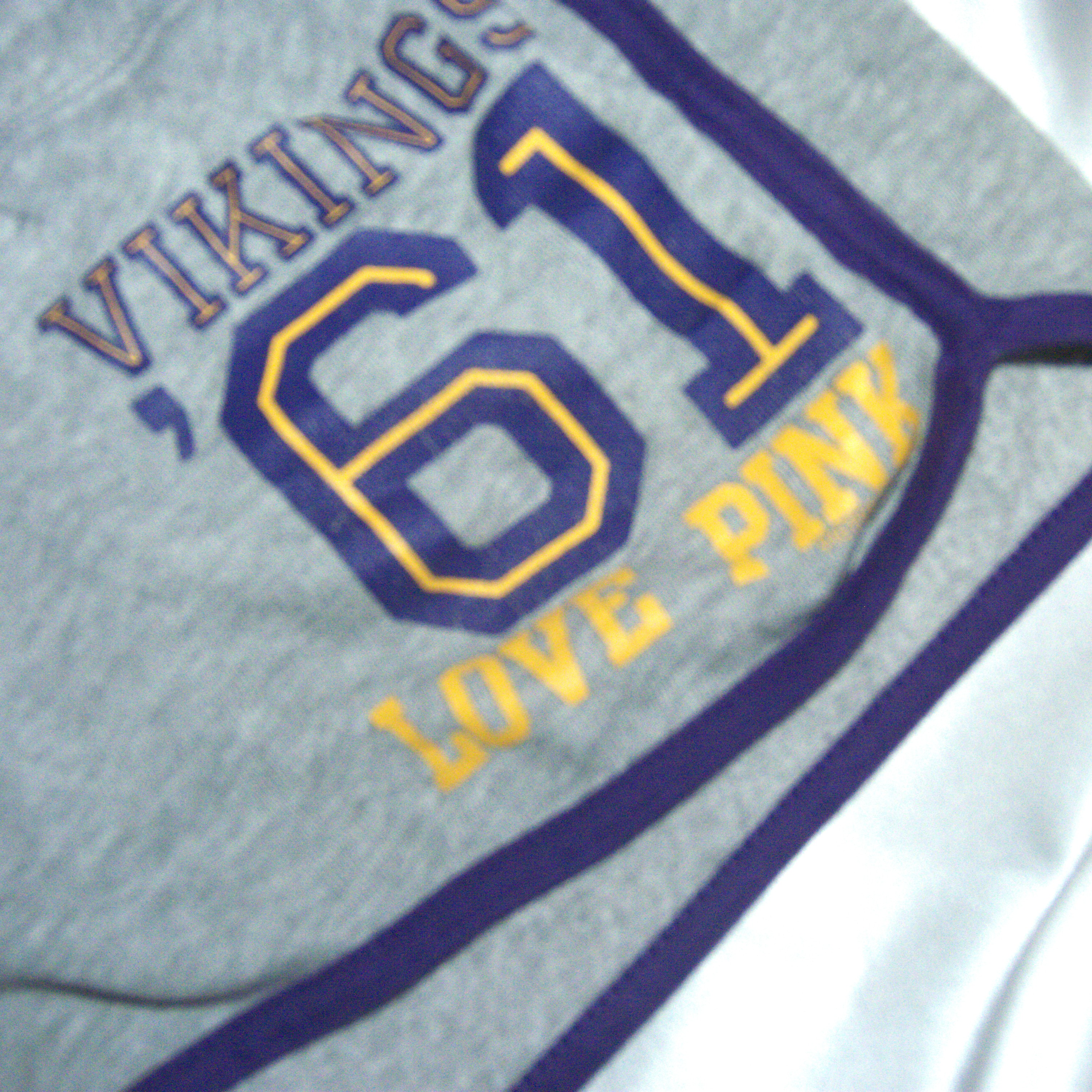 Limited Edition VS PINK 2008 Mini Shorts