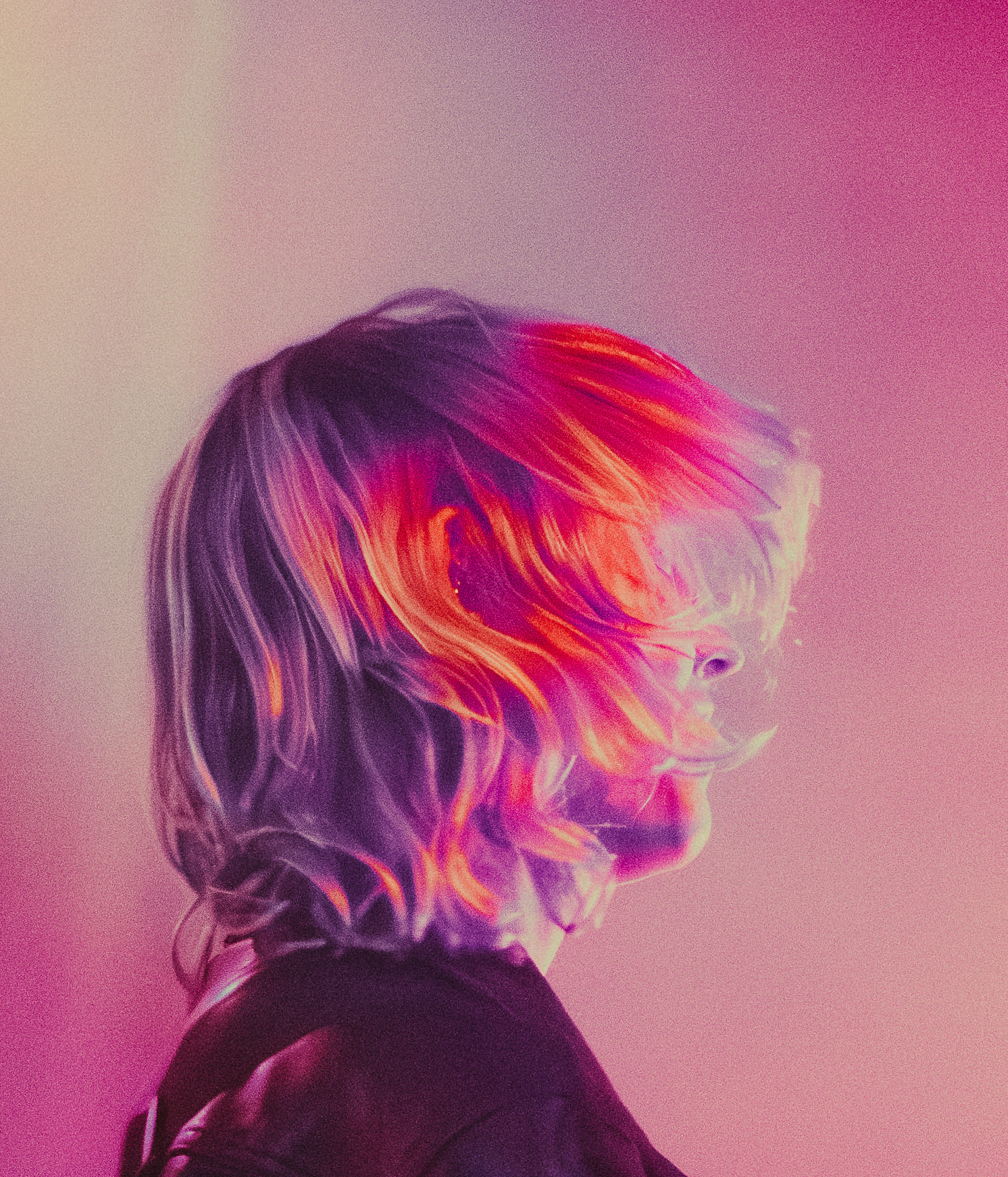 THE JAPANESE HOUSE 2