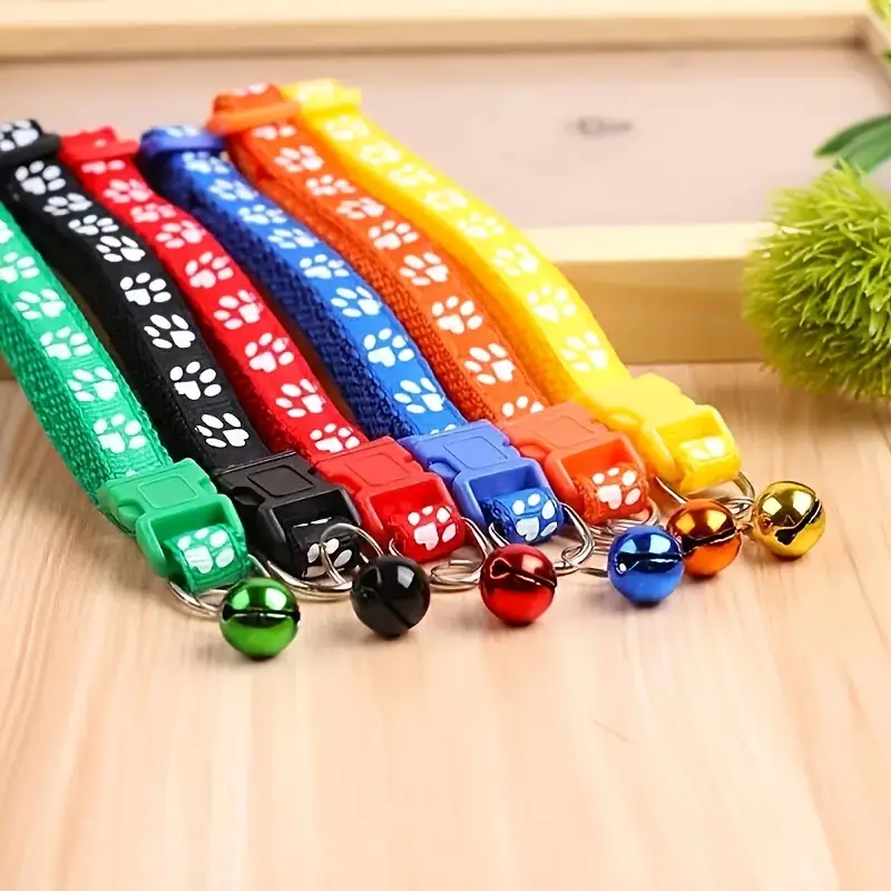 Cats Fashion Essentials