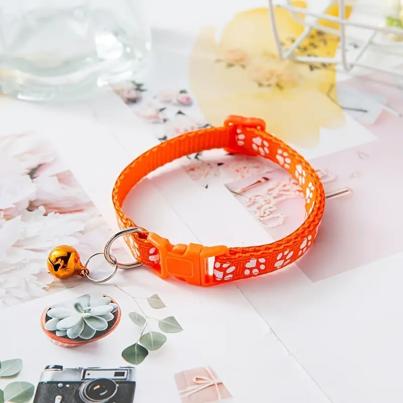 Cats Fashion Essentials