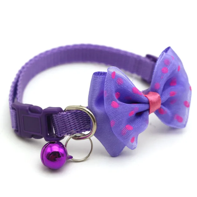 Stylish Pet collar Essentials