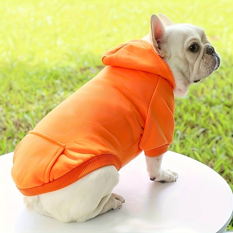 Dog Hoodie