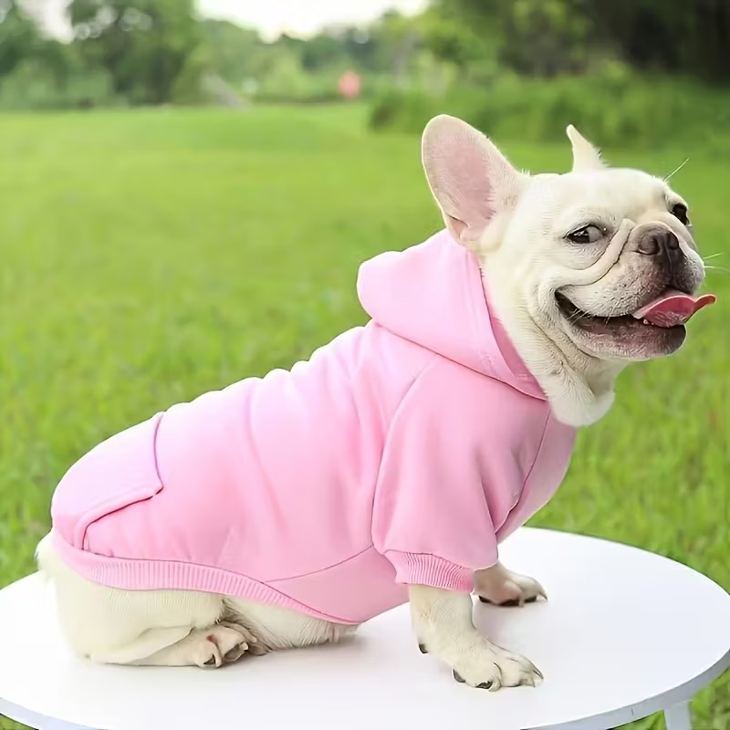 Dog Hoodie