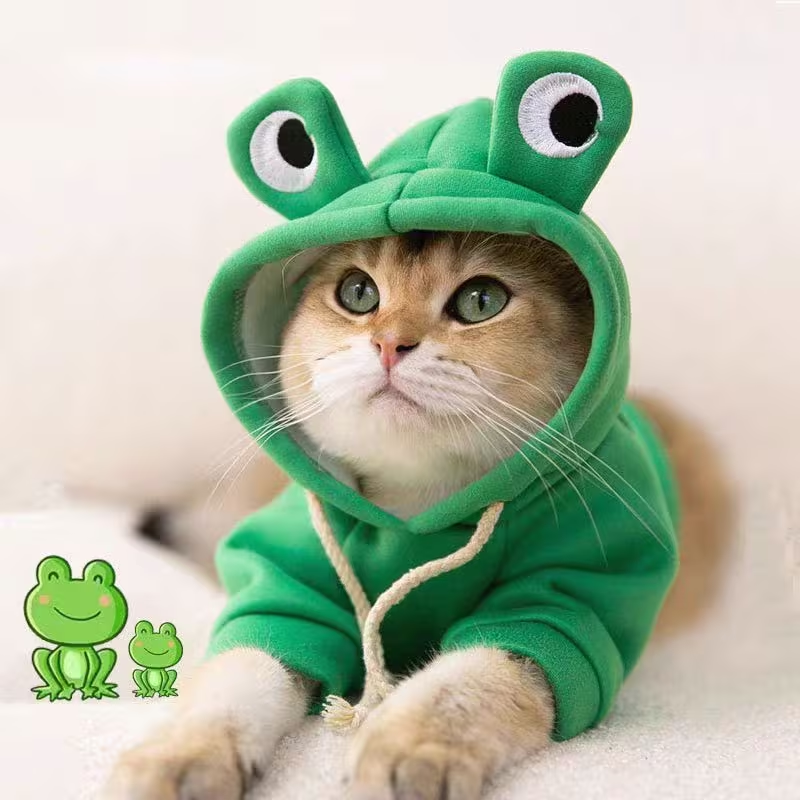 Frog Eyes Pet Hoodie