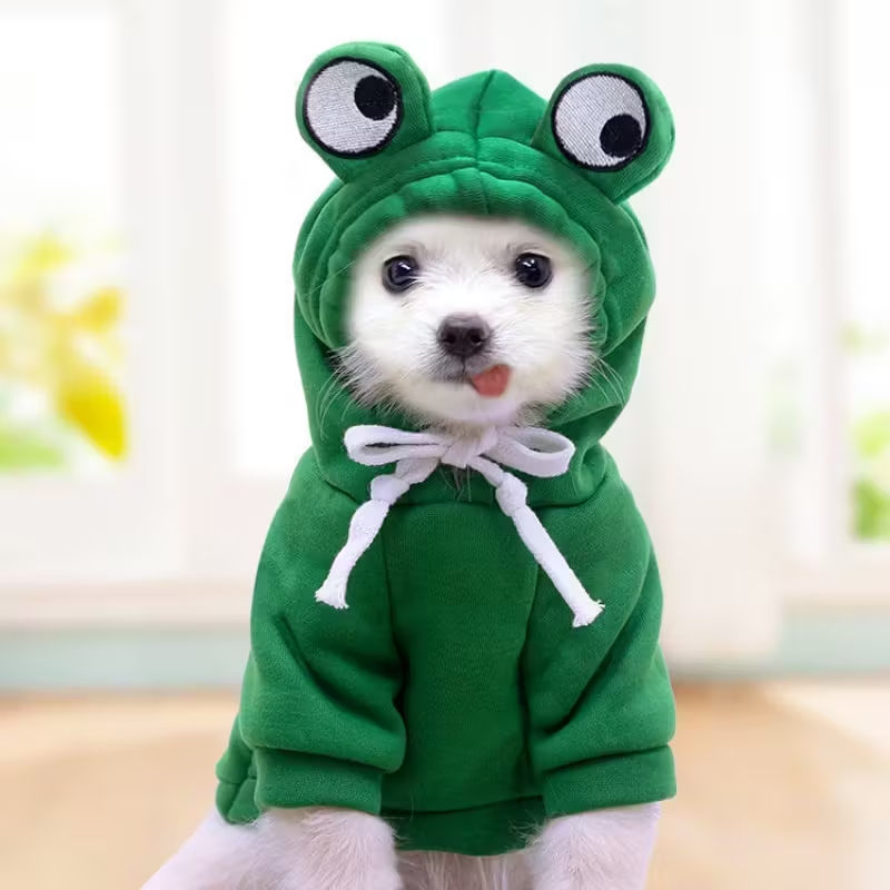 Frog Eyes Pet Hoodie