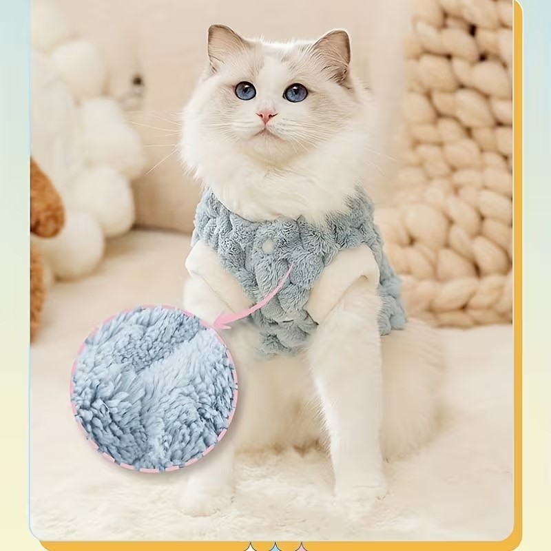 Cat Winter Sweater