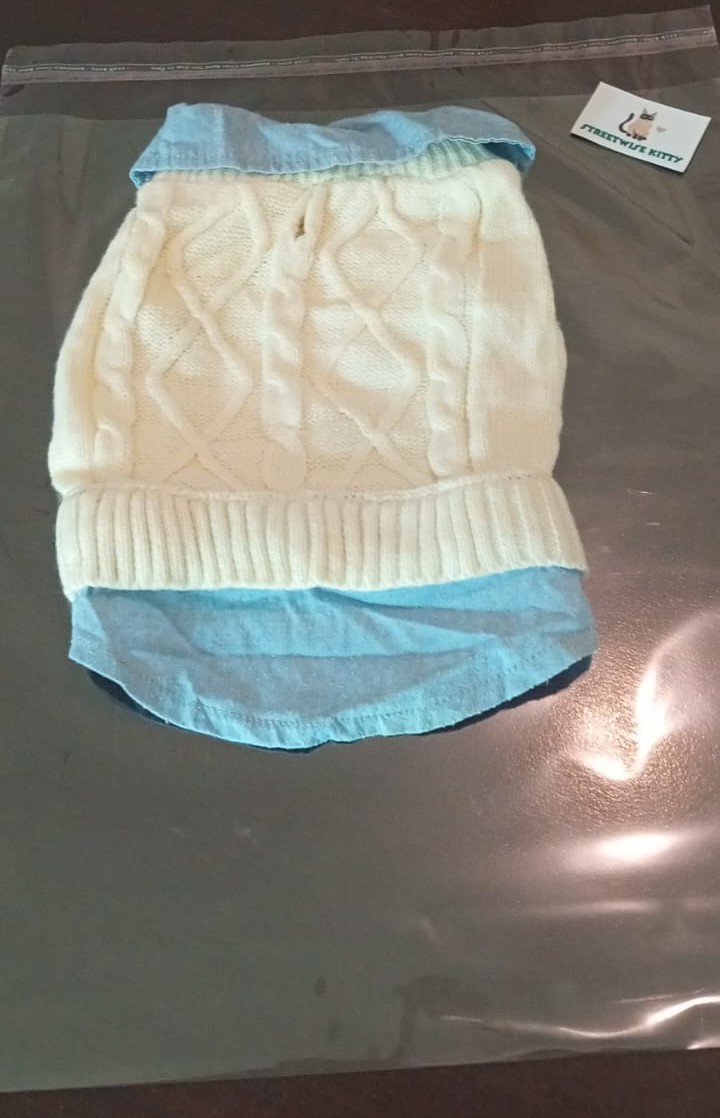 Dog Sweater with Shirt Collar