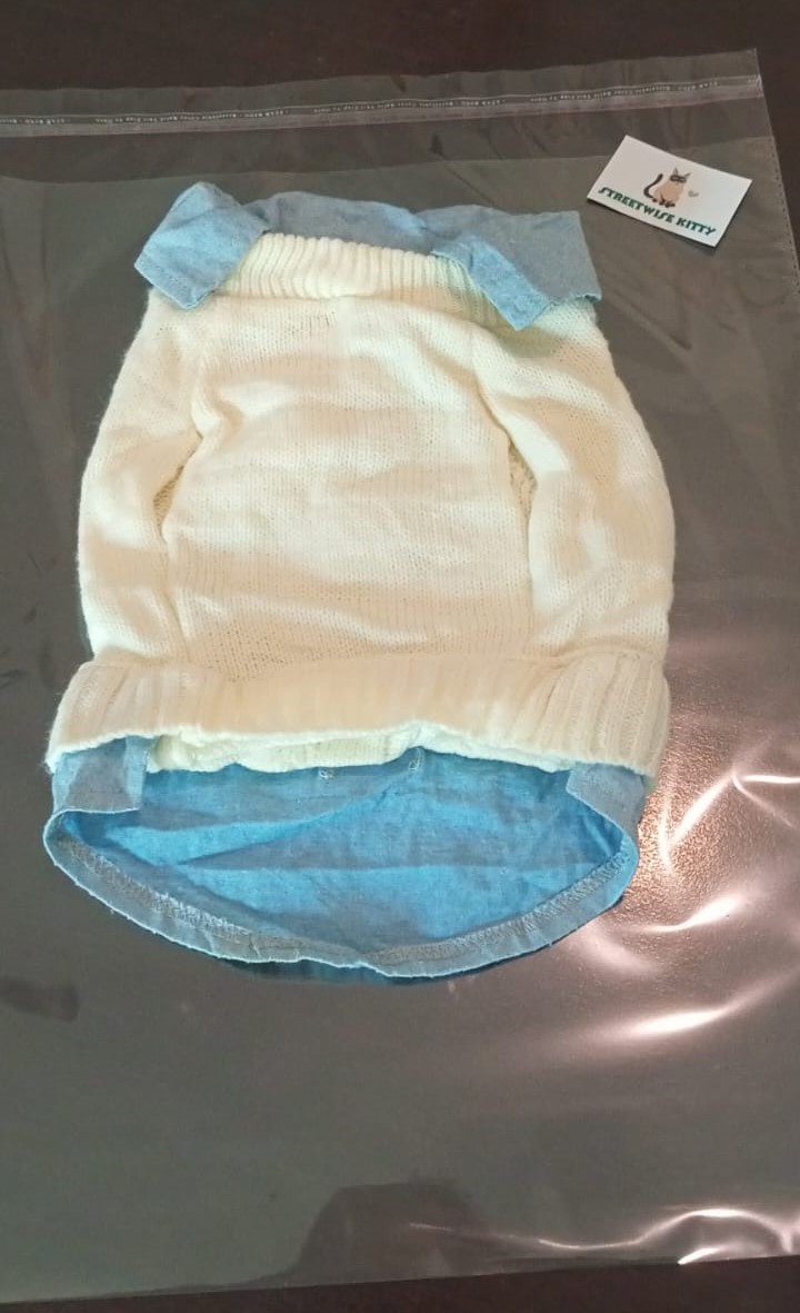 Dog Sweater with Shirt Collar