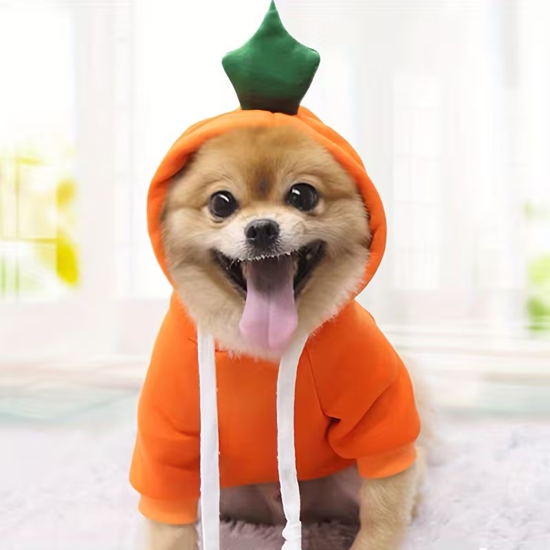 Pumpkin Costume Hoodie for Pets