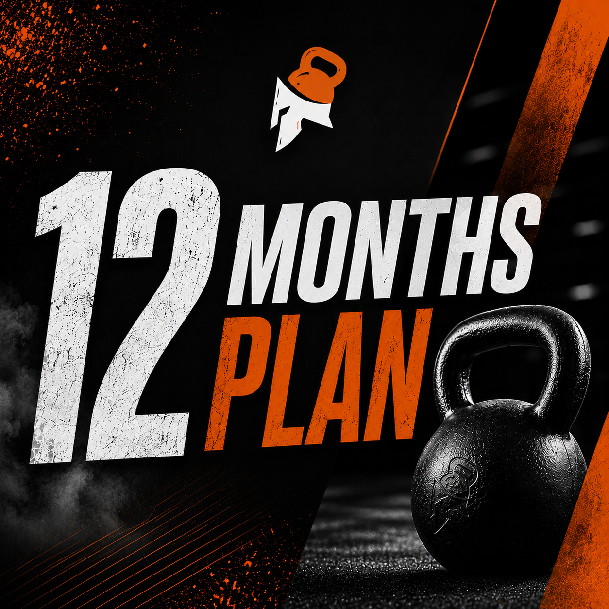 CHAMPION PLAN - 12 MONTHS