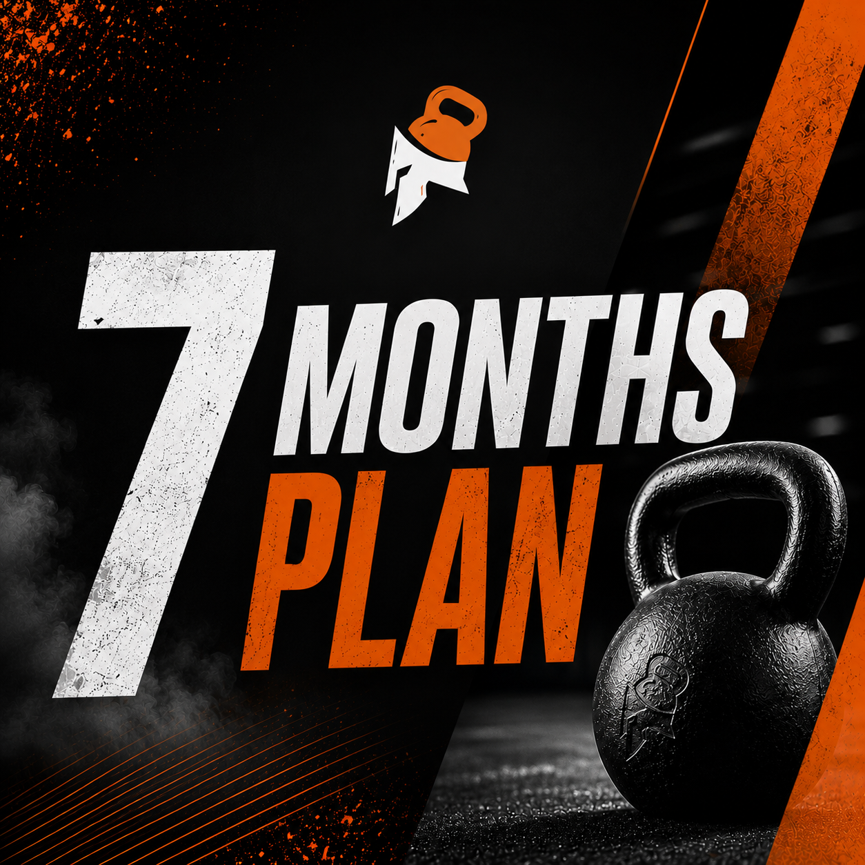 TRANSFORMATION PLAN - 7 MONTHS 