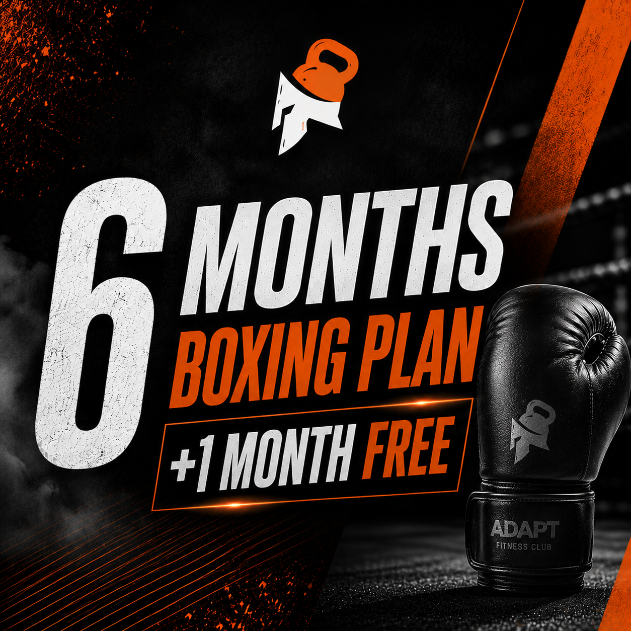 BOXING PLAN 6 MONTHS + 1 MONTH FREE