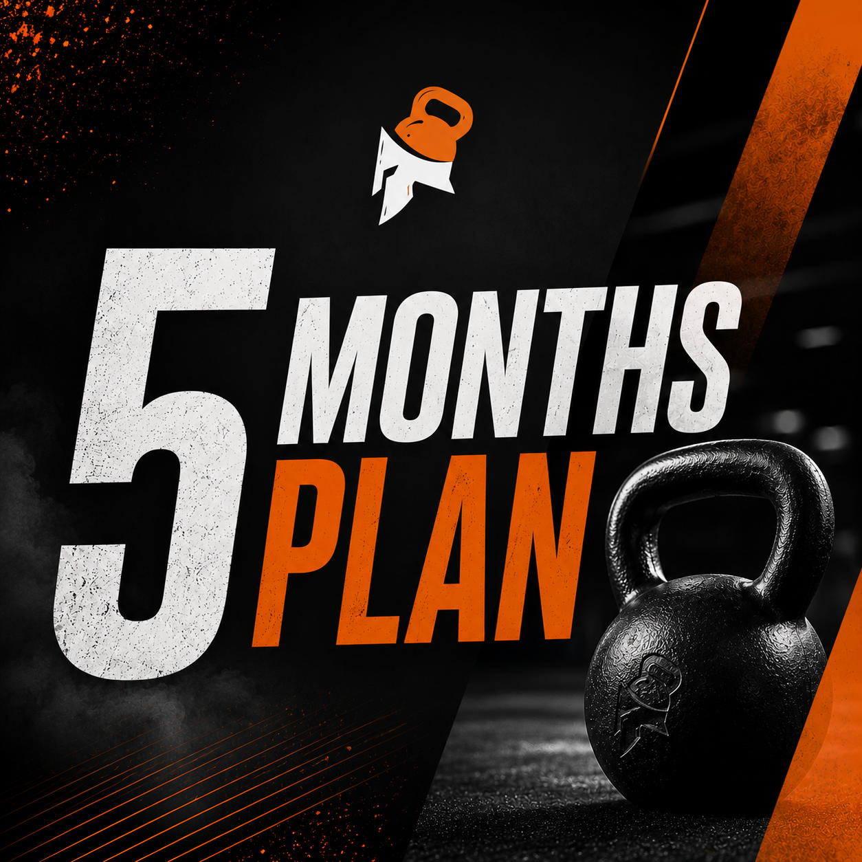 PROGRESS PLAN - 5 MONTHS 
