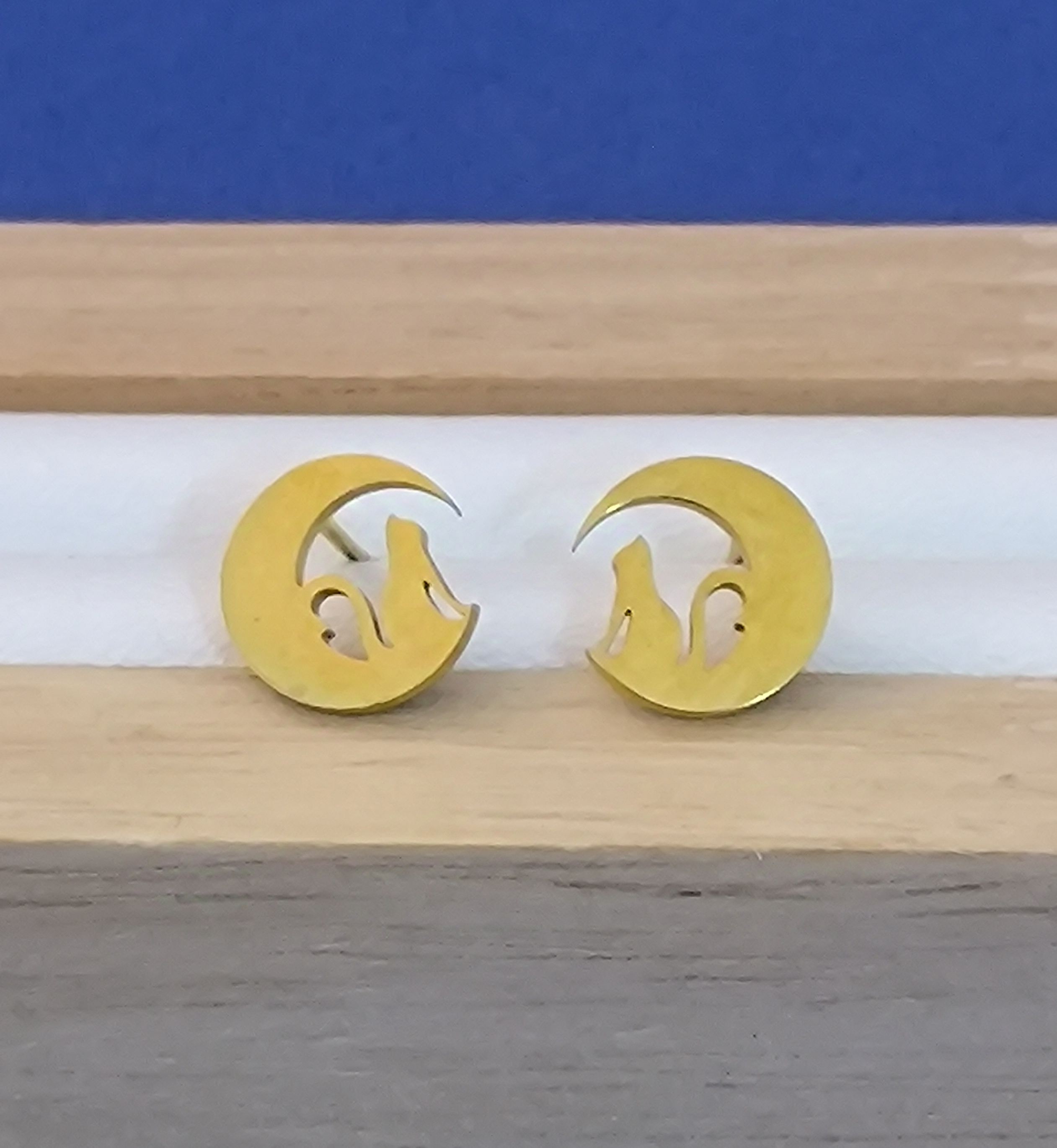 Pendientes Luna con Gato.