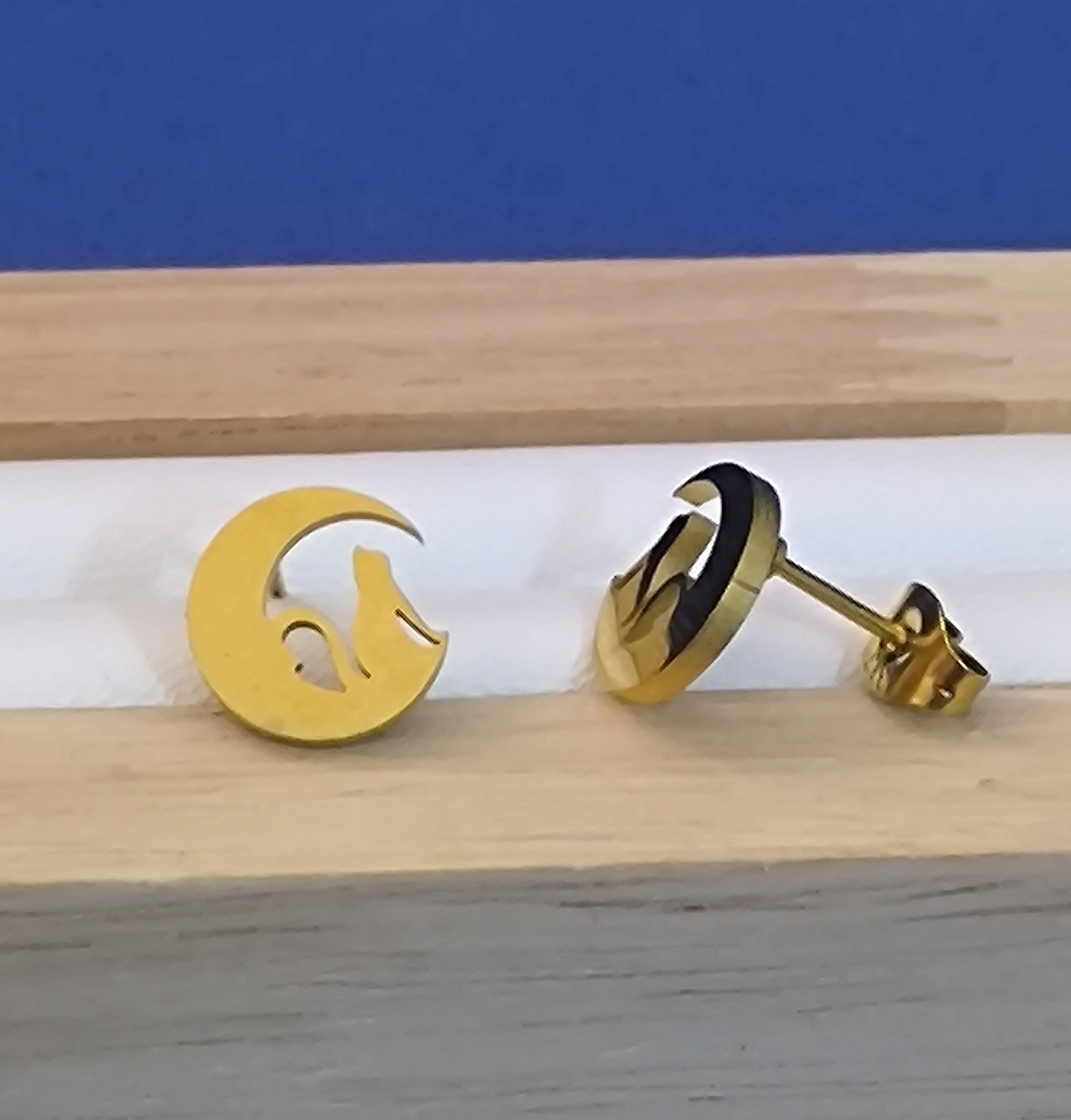 Pendientes Luna con Gato.