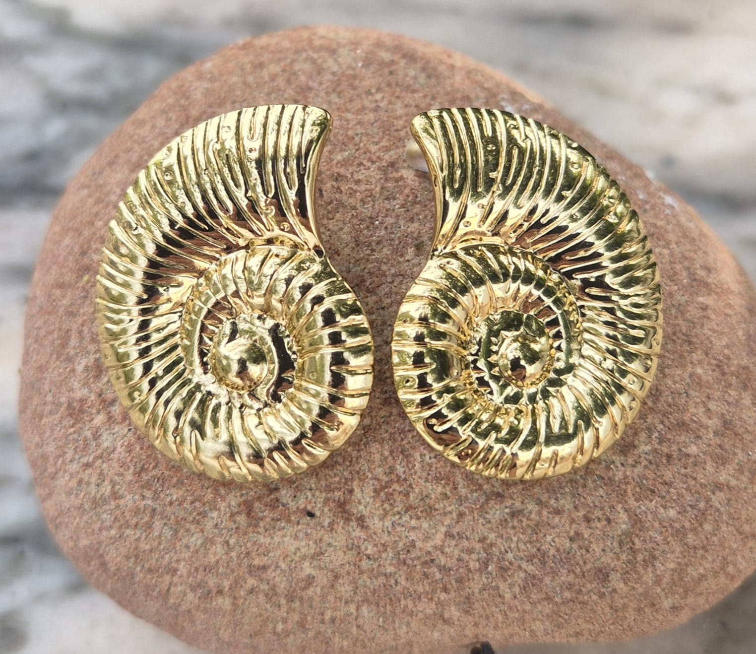 Pendientes Grandes Ammonite.