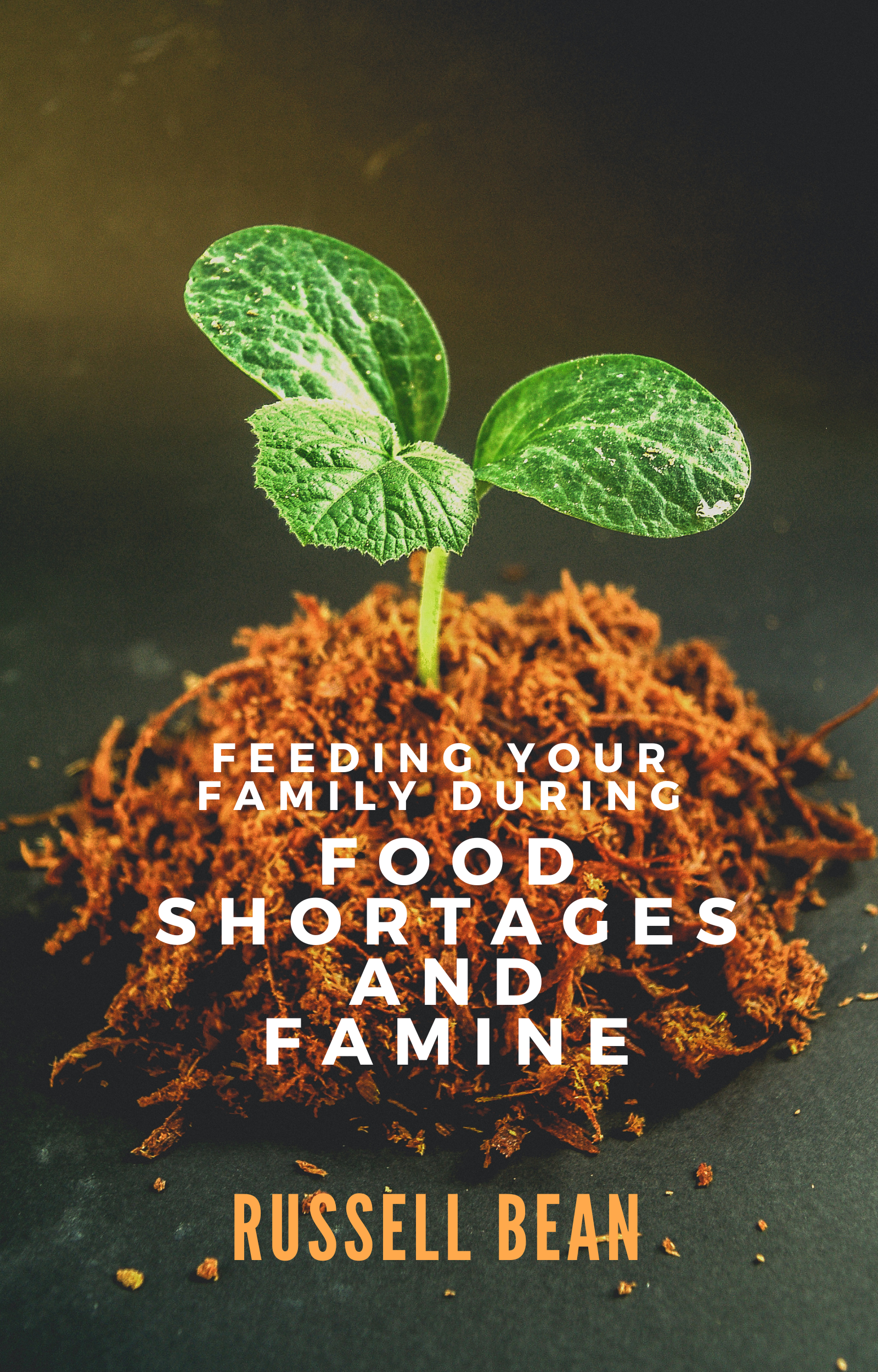Feeding Your Family During Food Shortages and Famine eBook