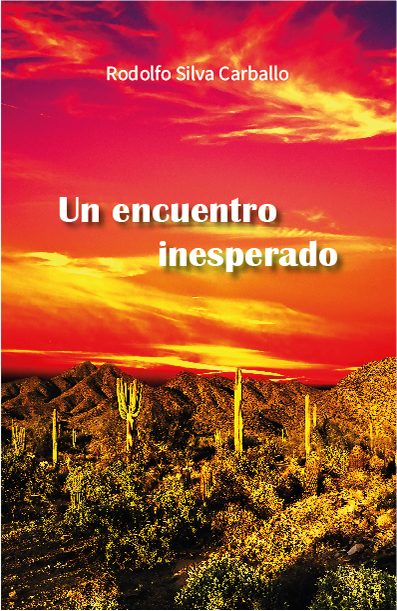 Un encuentro inesperado -Rodolfo Silva Carballo