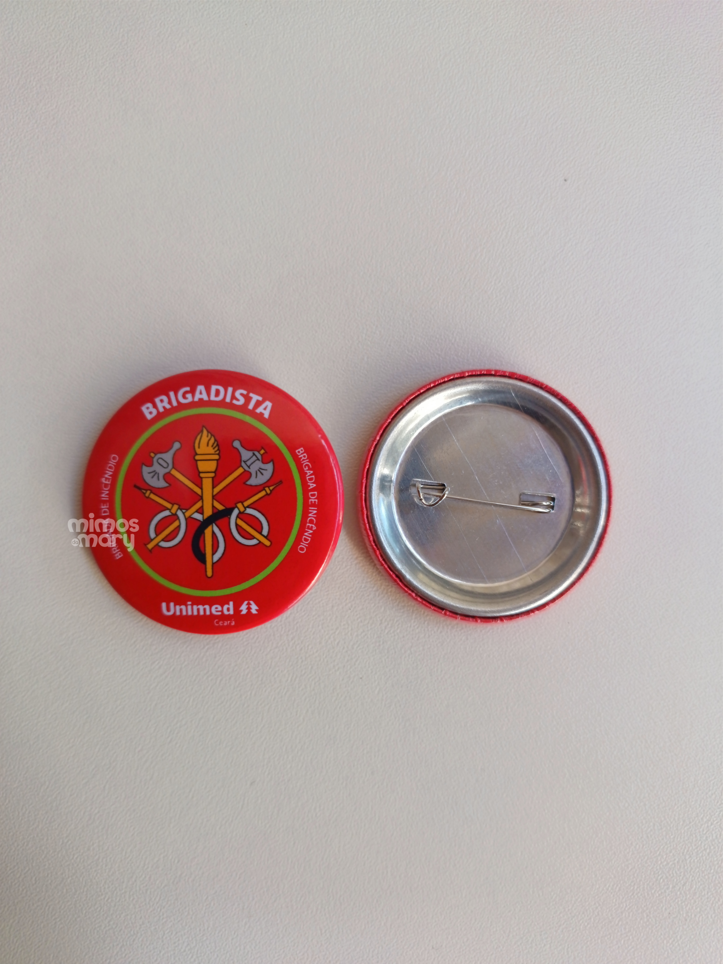 Botton de Brigadista