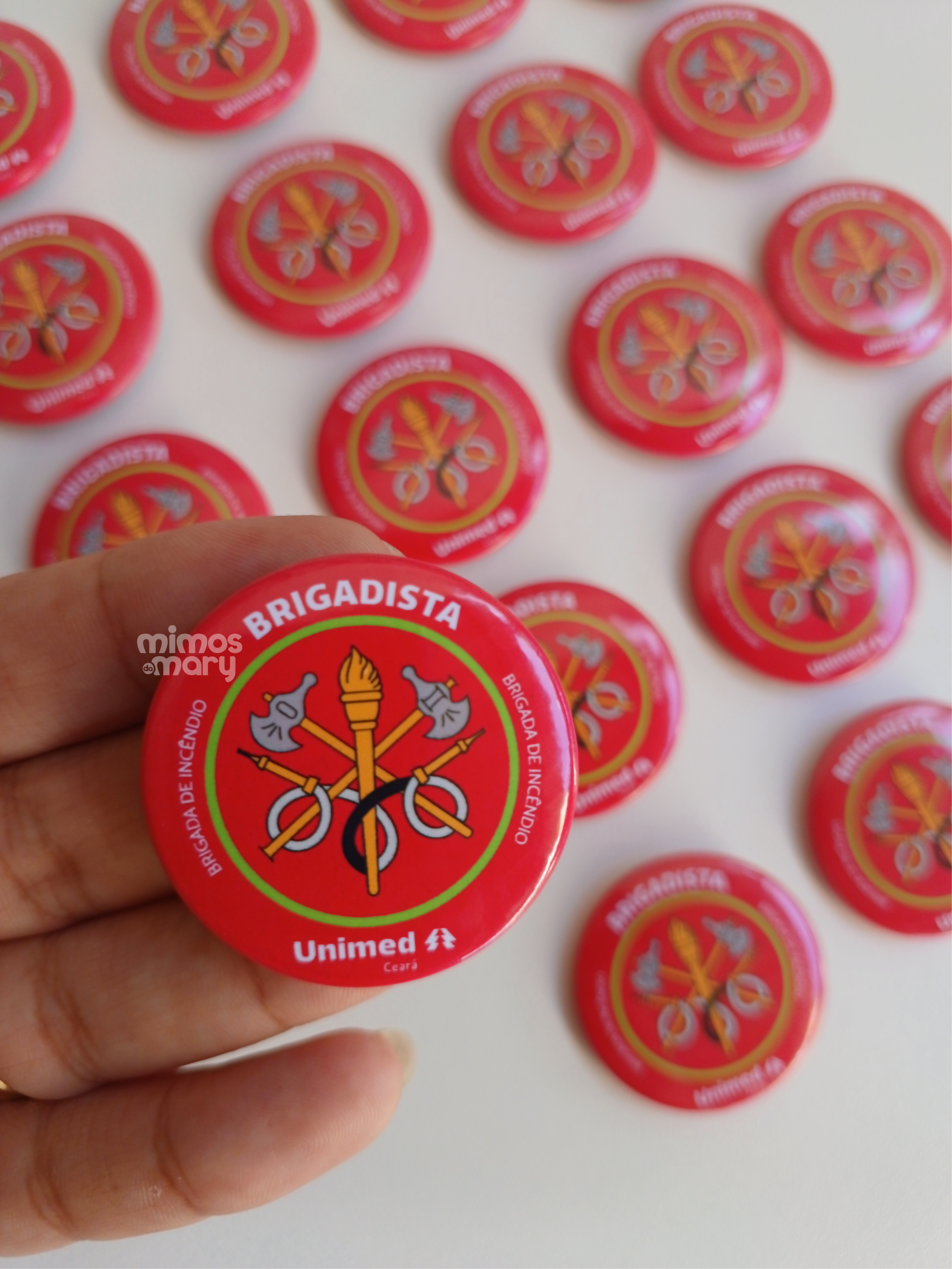 Botton de Brigadista