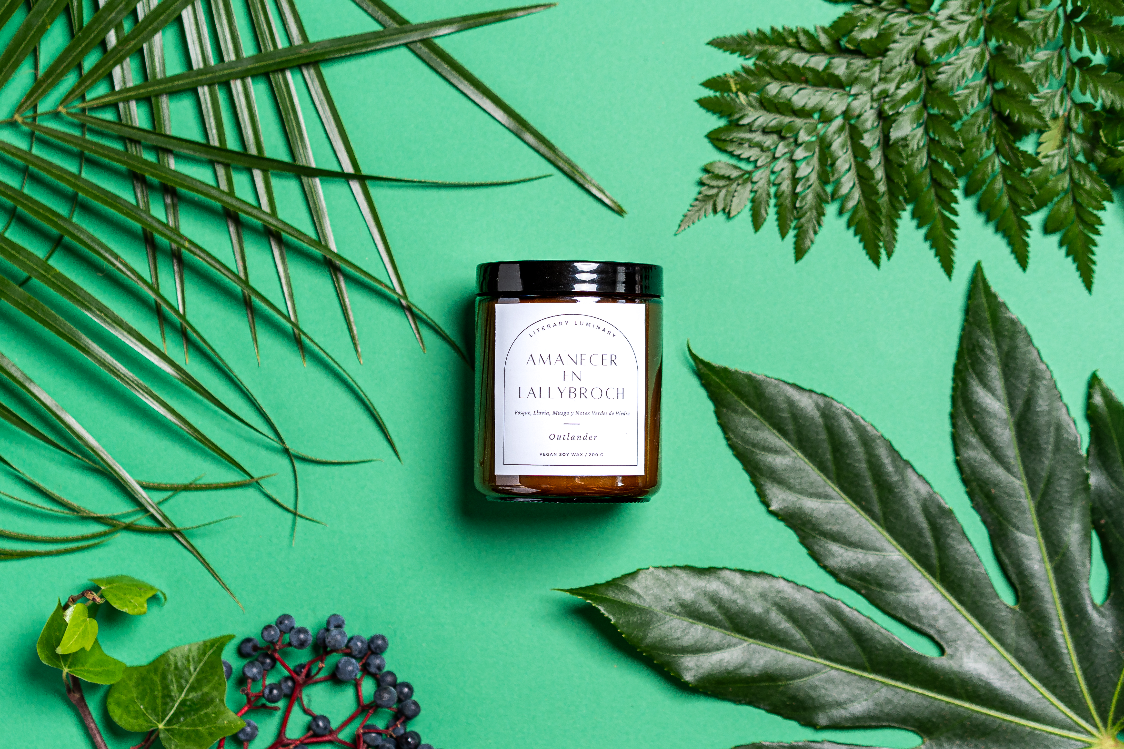 Amanecer en Lallybroch