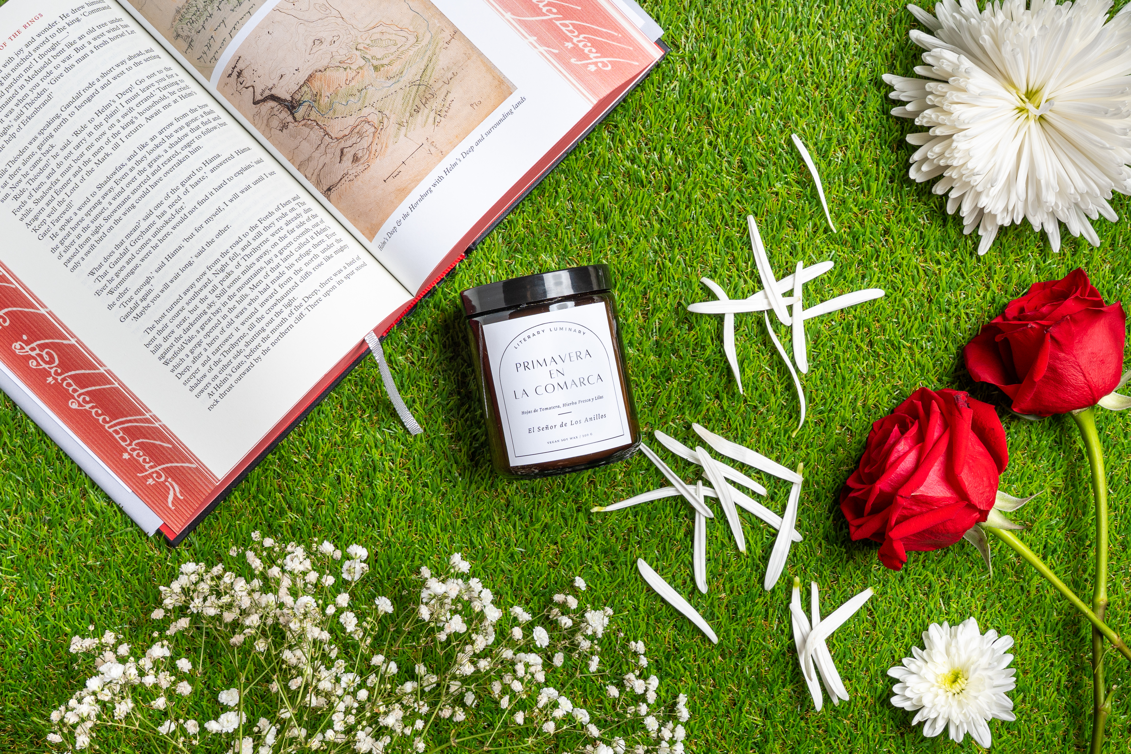 Primavera en la Comarca