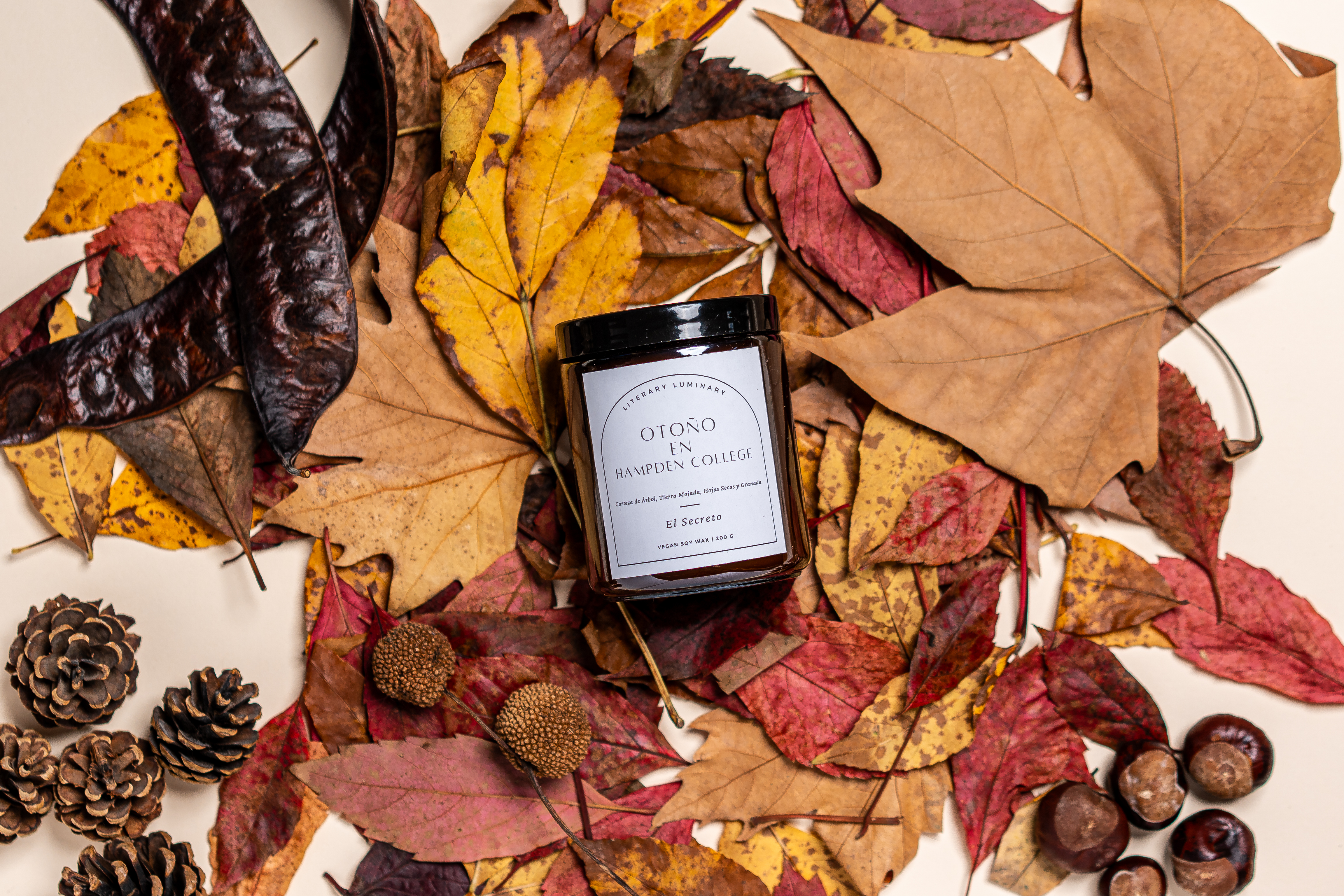 Otoño en Hampden College