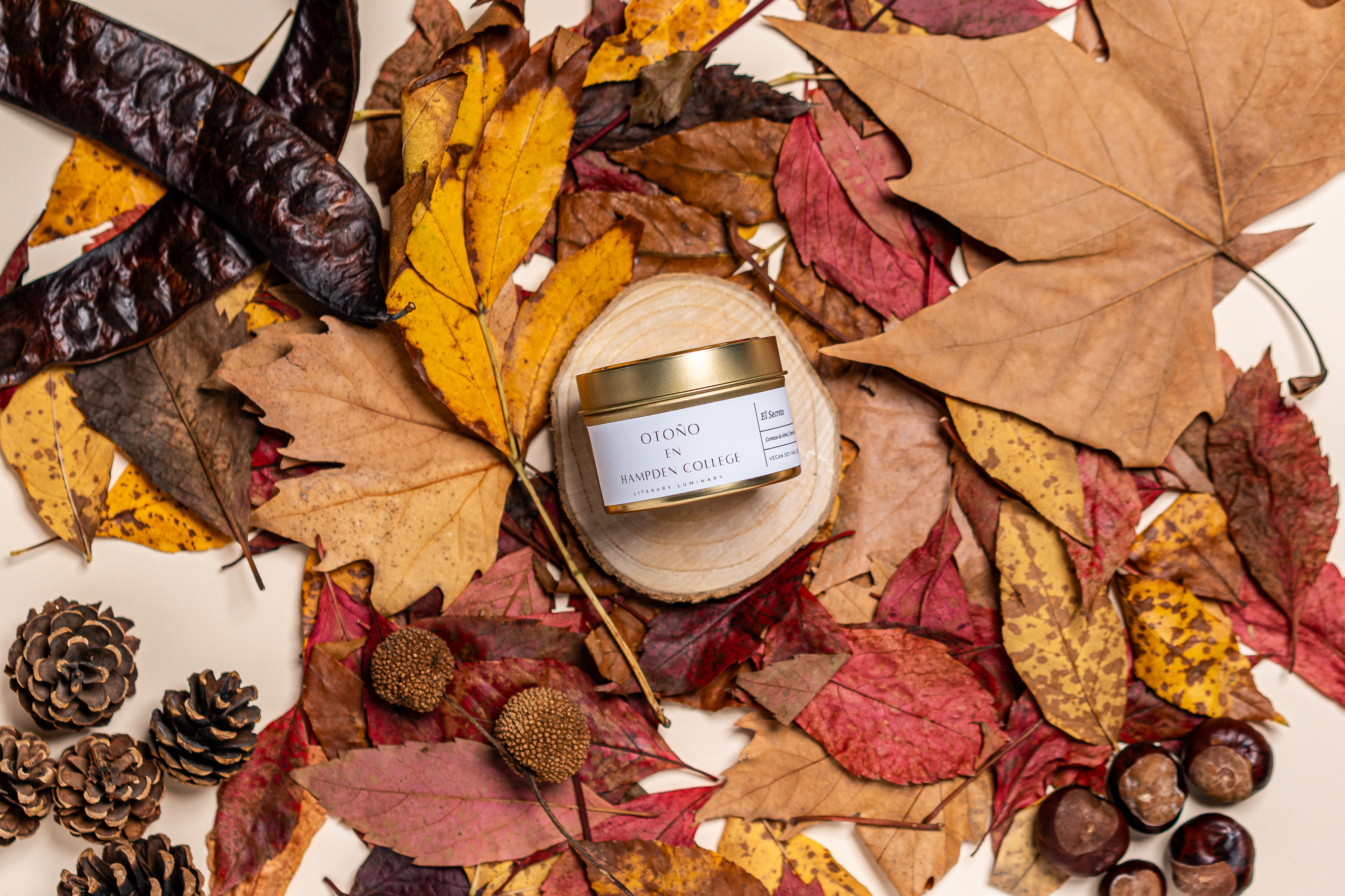 Otoño en Hampden College
