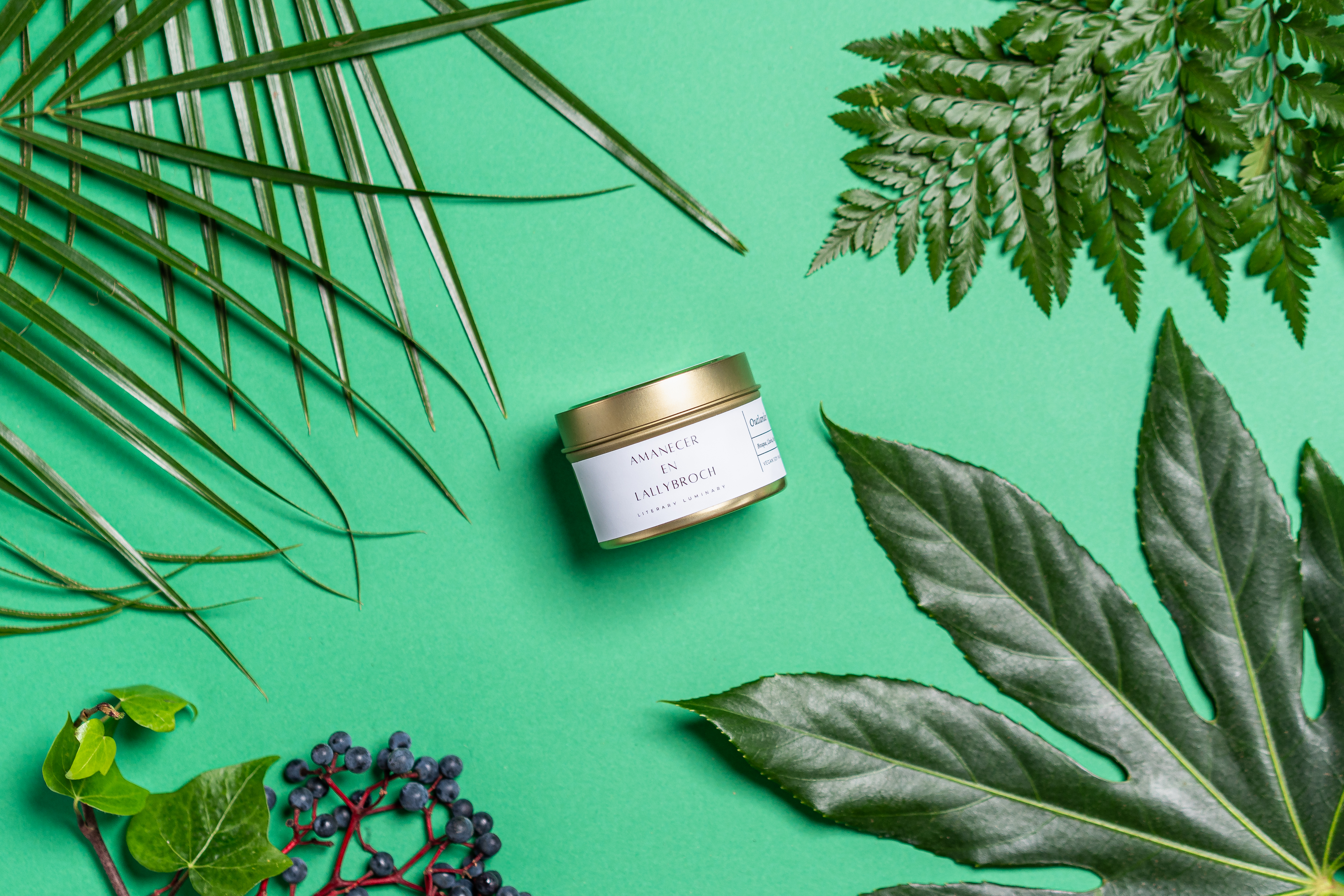 Amanecer en Lallybroch