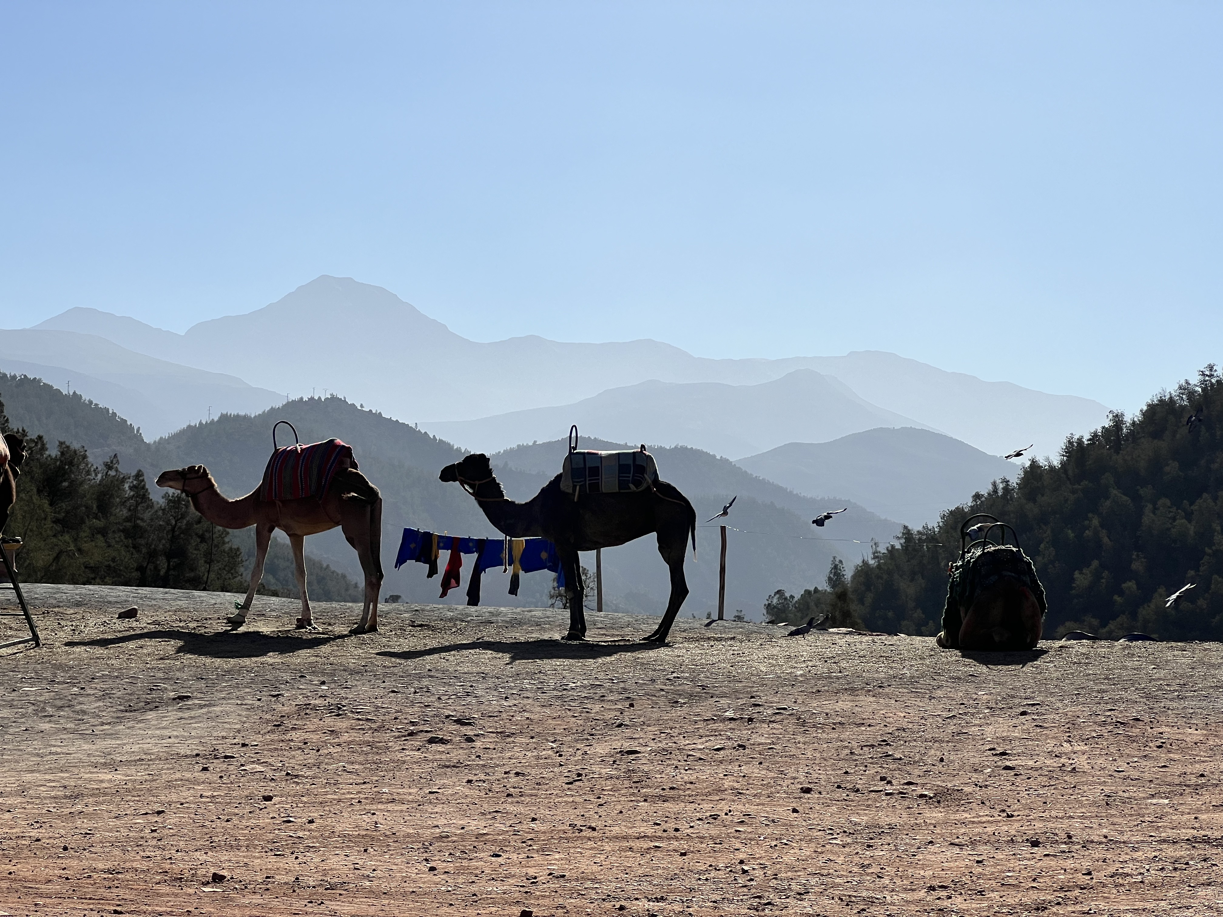 Ourika Day trip From Marrakech