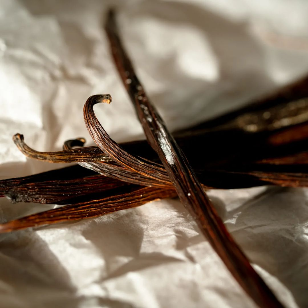 Vanilla Bean
