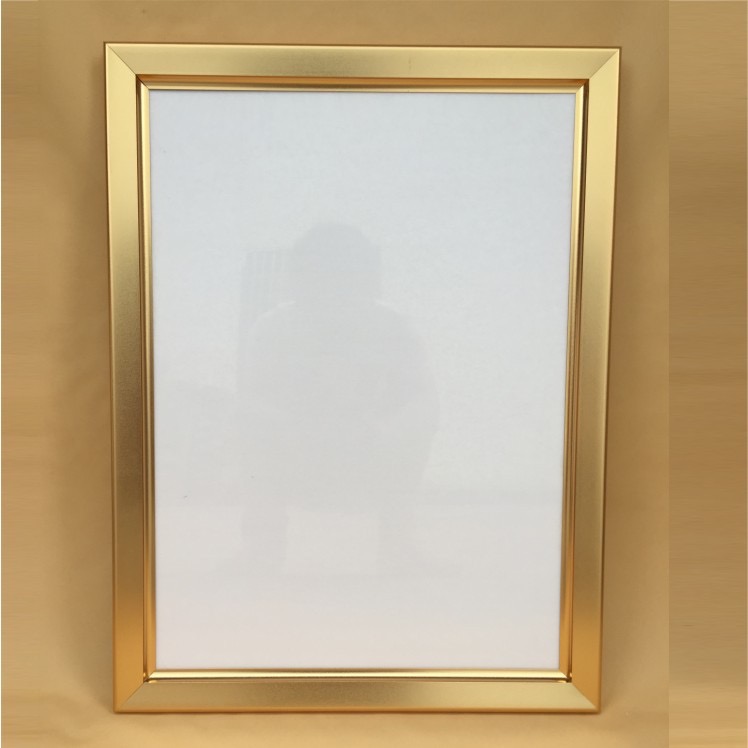 Aluminum Picture Frame