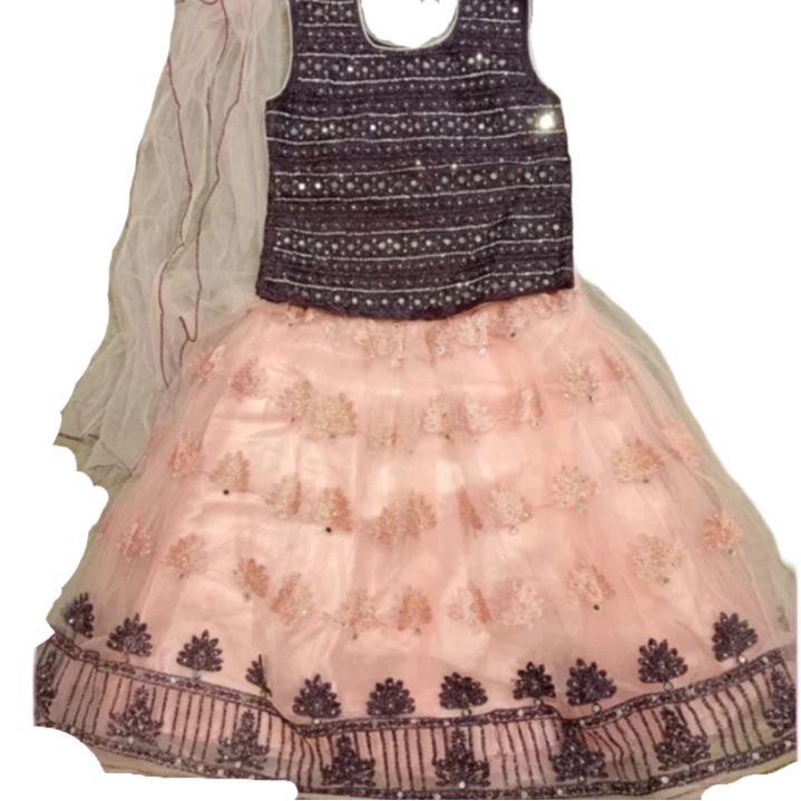 Girls lengha choli for special occasions 28 (7-8ys), 30 (8-9ys) and 32 (9-10ys)