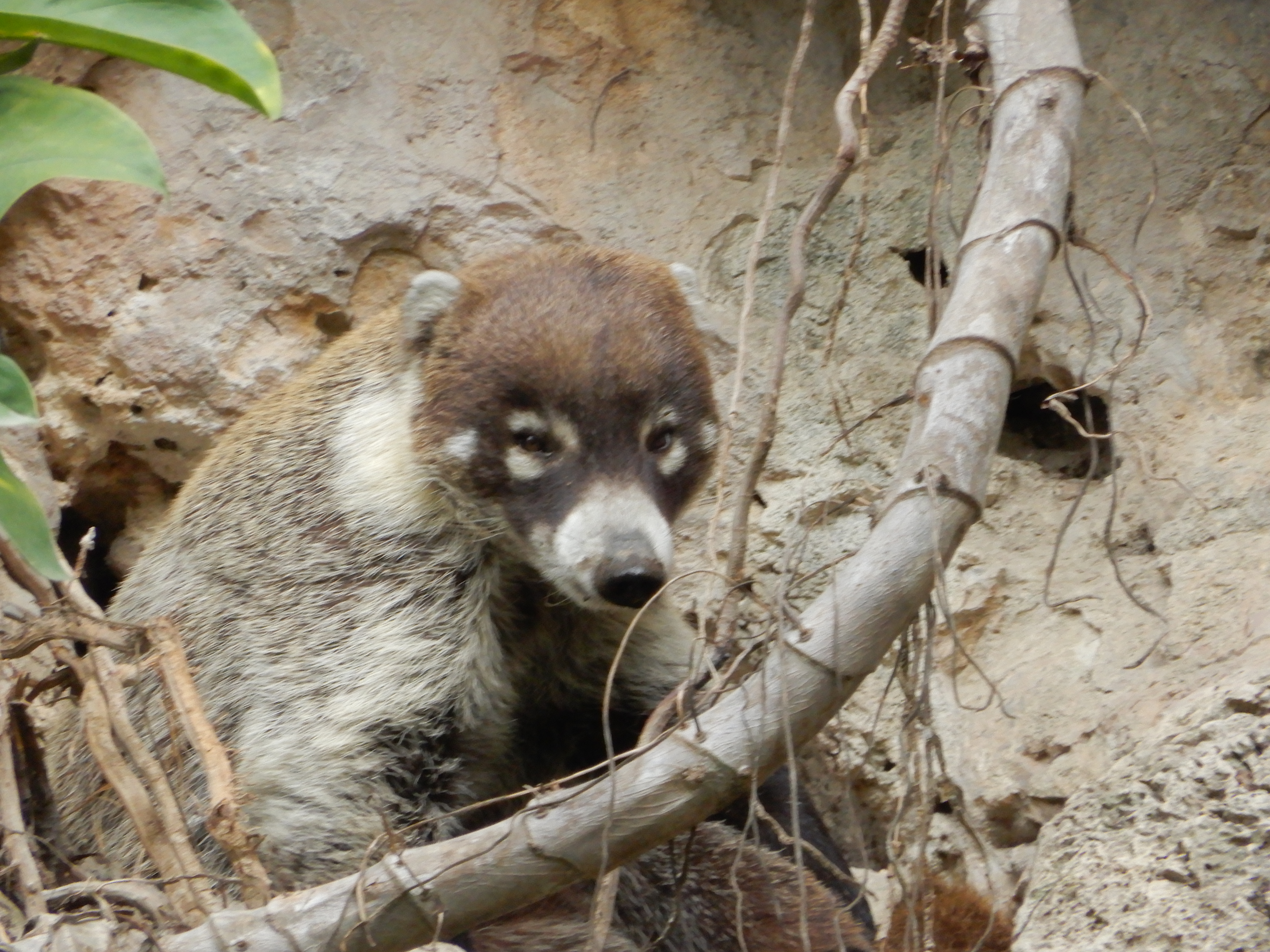 "La Gloria" fin de semana para 4 personas