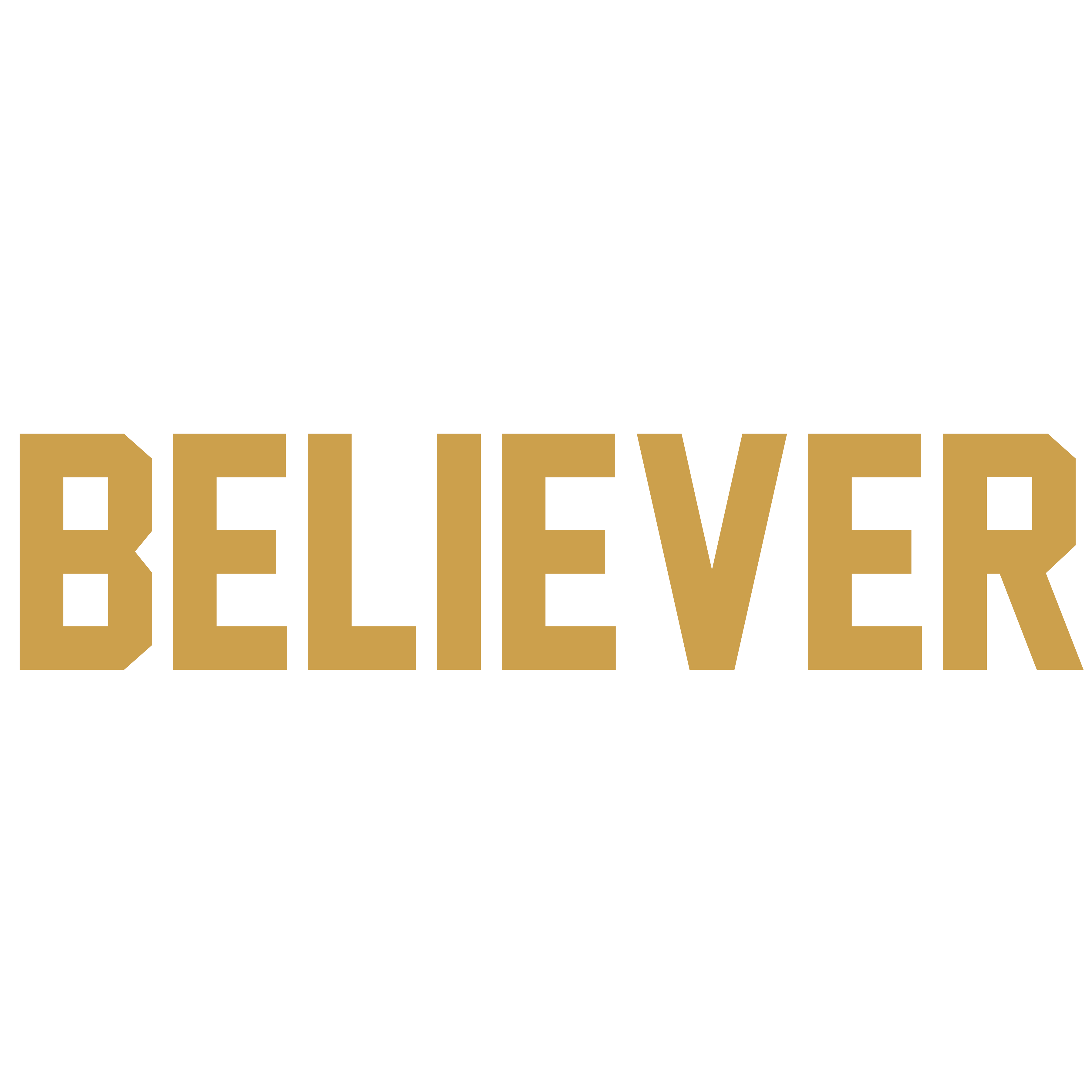 Believer shirt